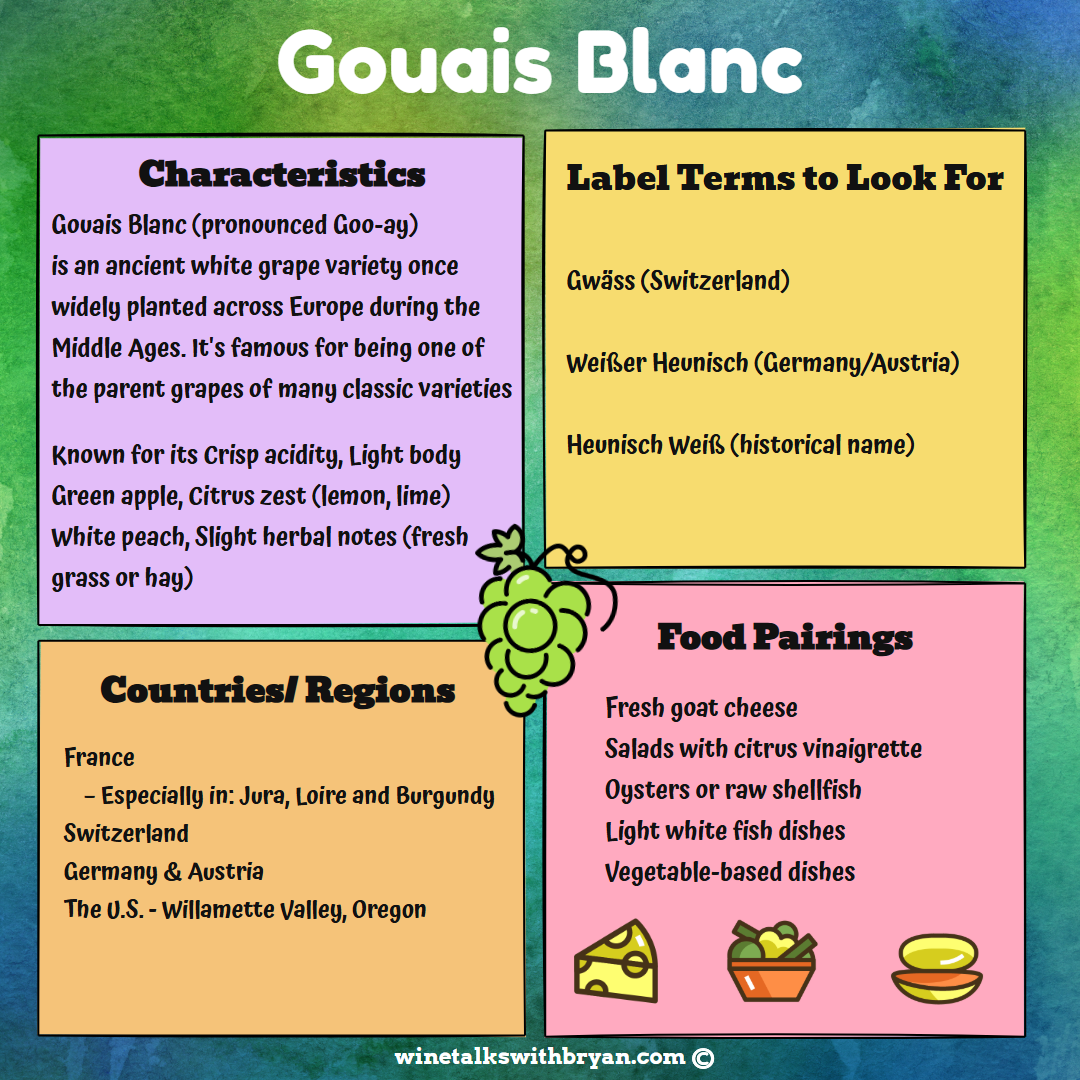 Infographic about Gouais Blanc grape variety, including characteristics, country/region data, food pairings, and label terms to look for.