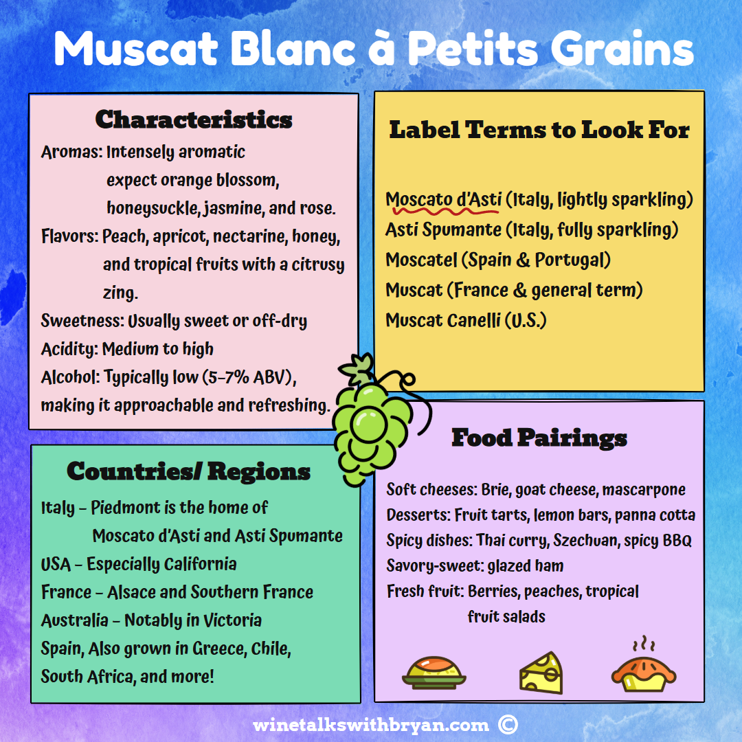 Information about Muscat Blanc a Petits Grains wine, including characteristics, label terms to look for, countries/regions where it's produced, and food pairings, with colorful sections and small illustrations of cheese, fruit, and wine.