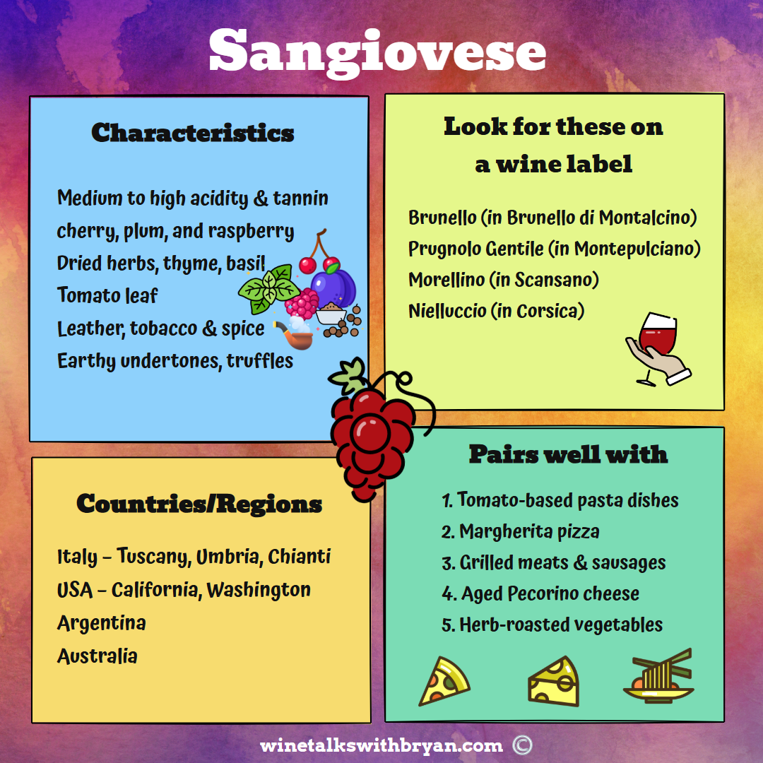 Colorful informational poster about Sangiovese wine, detailing its characteristics, pairings, regions, and label hints, with illustrations of grapes, wine, cheese, and pizza.