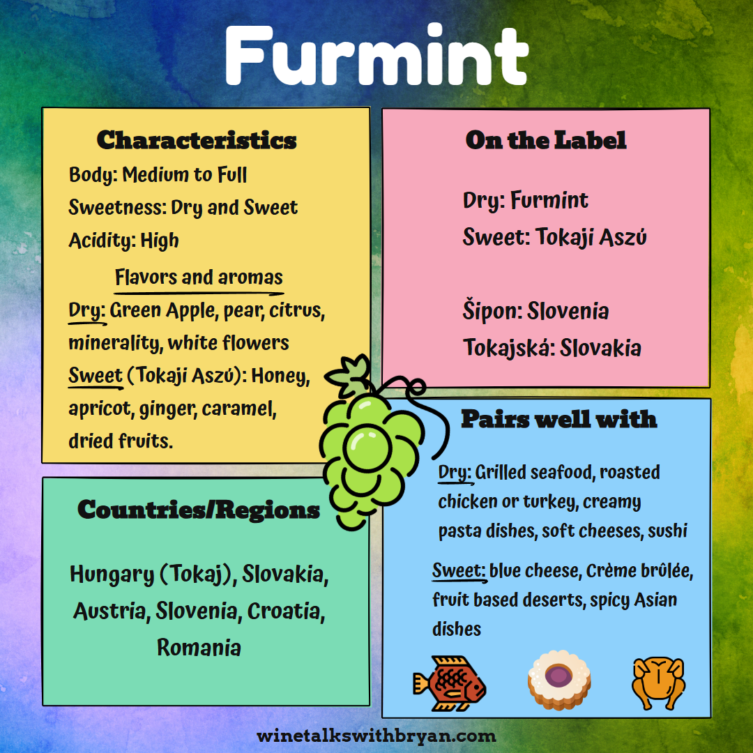 Colorful infographic about furmint grapes, detailing characteristics, regions, food pairings, and label information with illustrations of fish, a bun, and a pig.