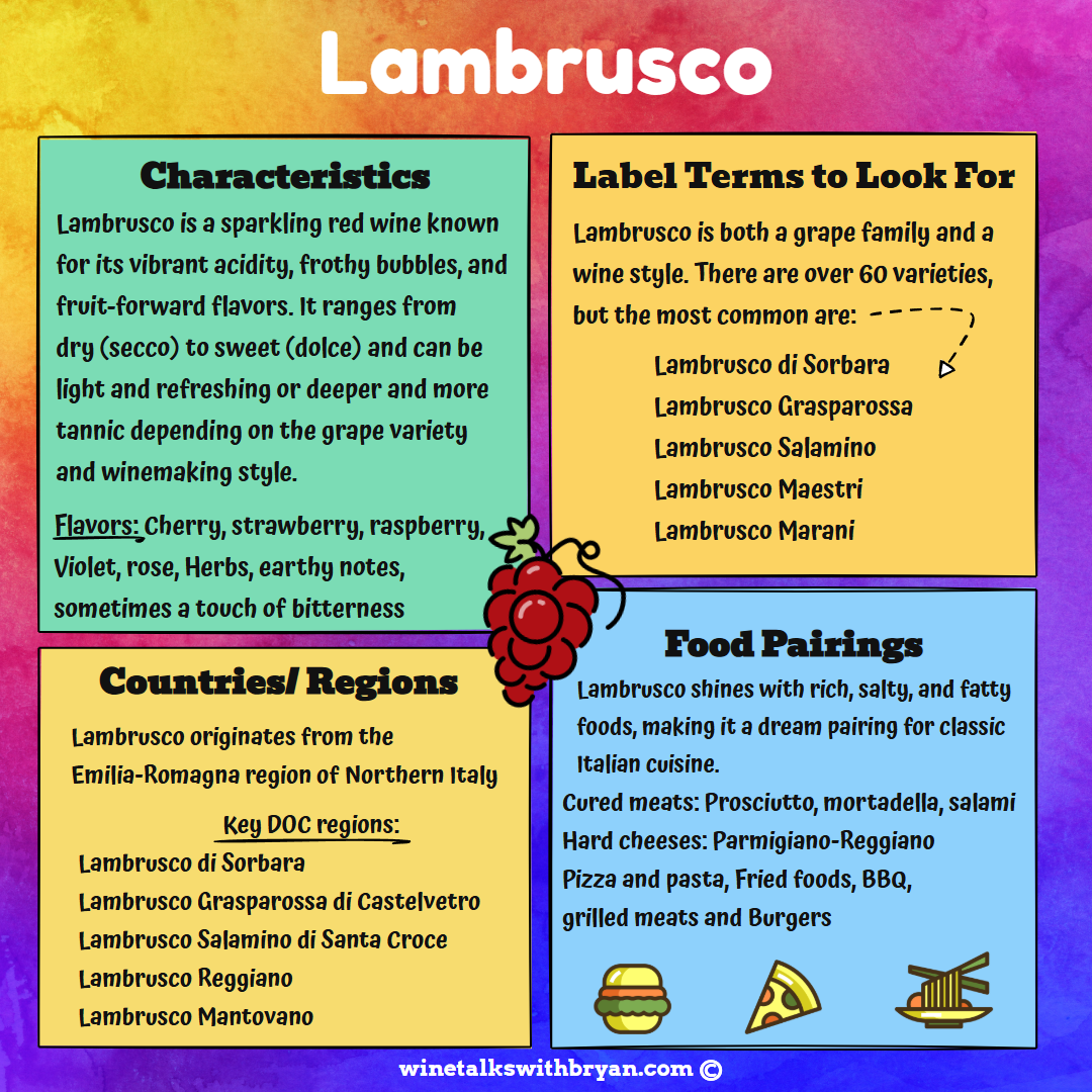 Colorful infographic about Lambrusco wine featuring sections on characteristics, label terms, countries/regions, and food pairings, with a cluster of grapes illustration in the center.
