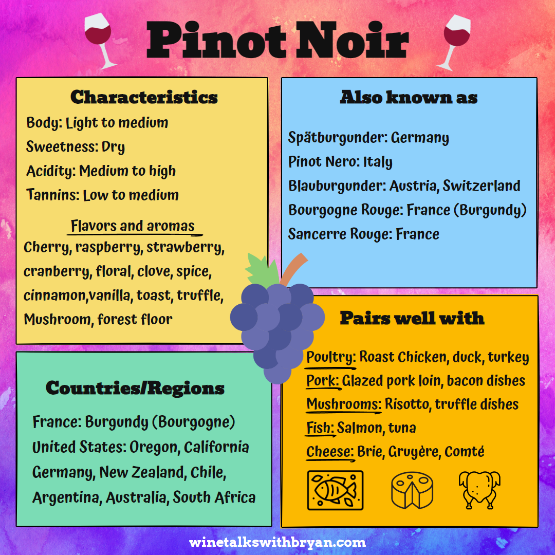 An infographic titled "Pinot Noir" with colorful sections detailing characteristics, regions, food pairings, and other names. The characteristics include light to medium body, dry sweetness, medium to high acidity, low to medium tannins, with flavors