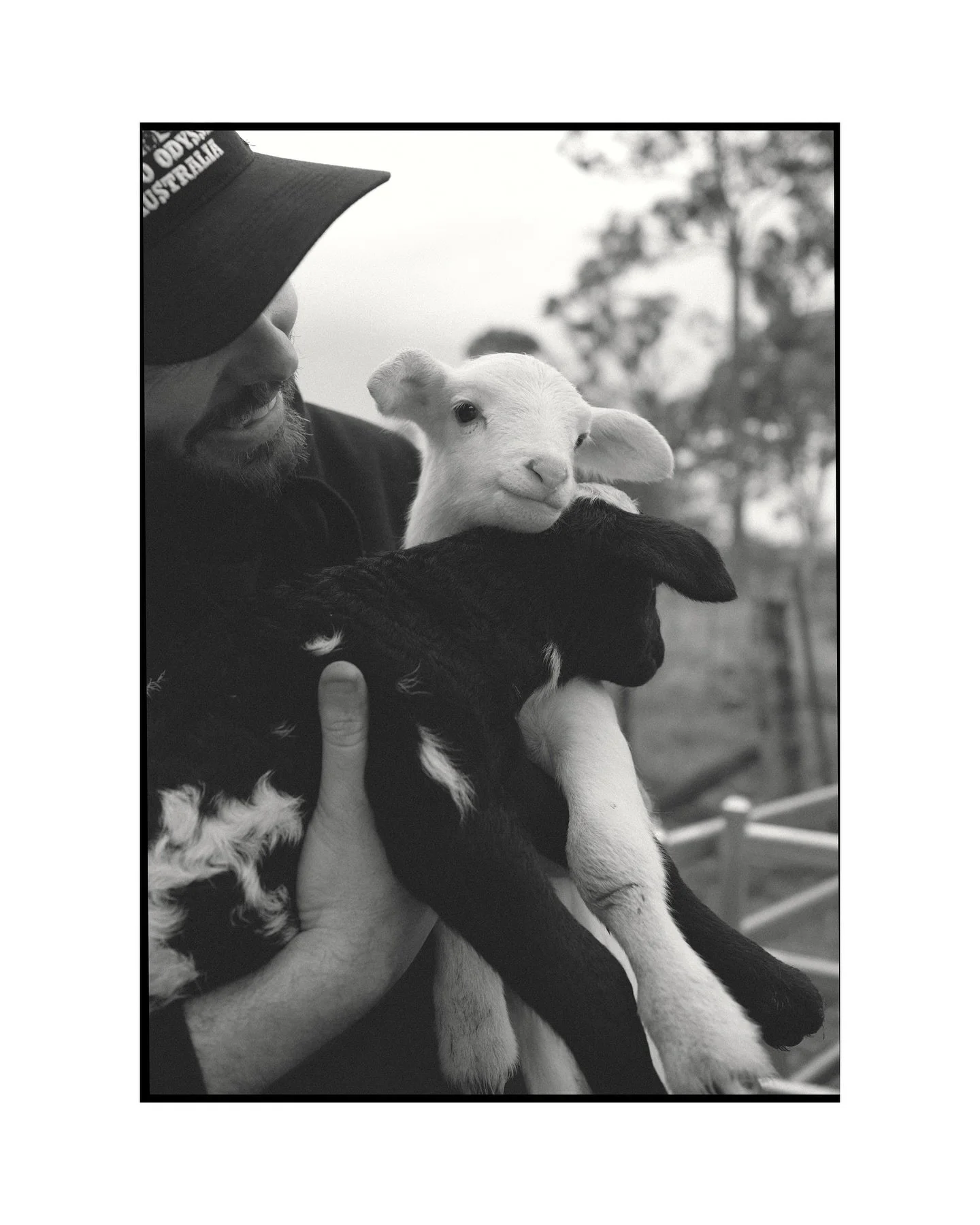 Newborn shoot for Farmer Steve 🐑🌾 These babies are only days old, and it blows my mind how little but dam mama they are big and off they go fending for themselves. It started off with a few hobby animals and now Steve has created a whole petting zo