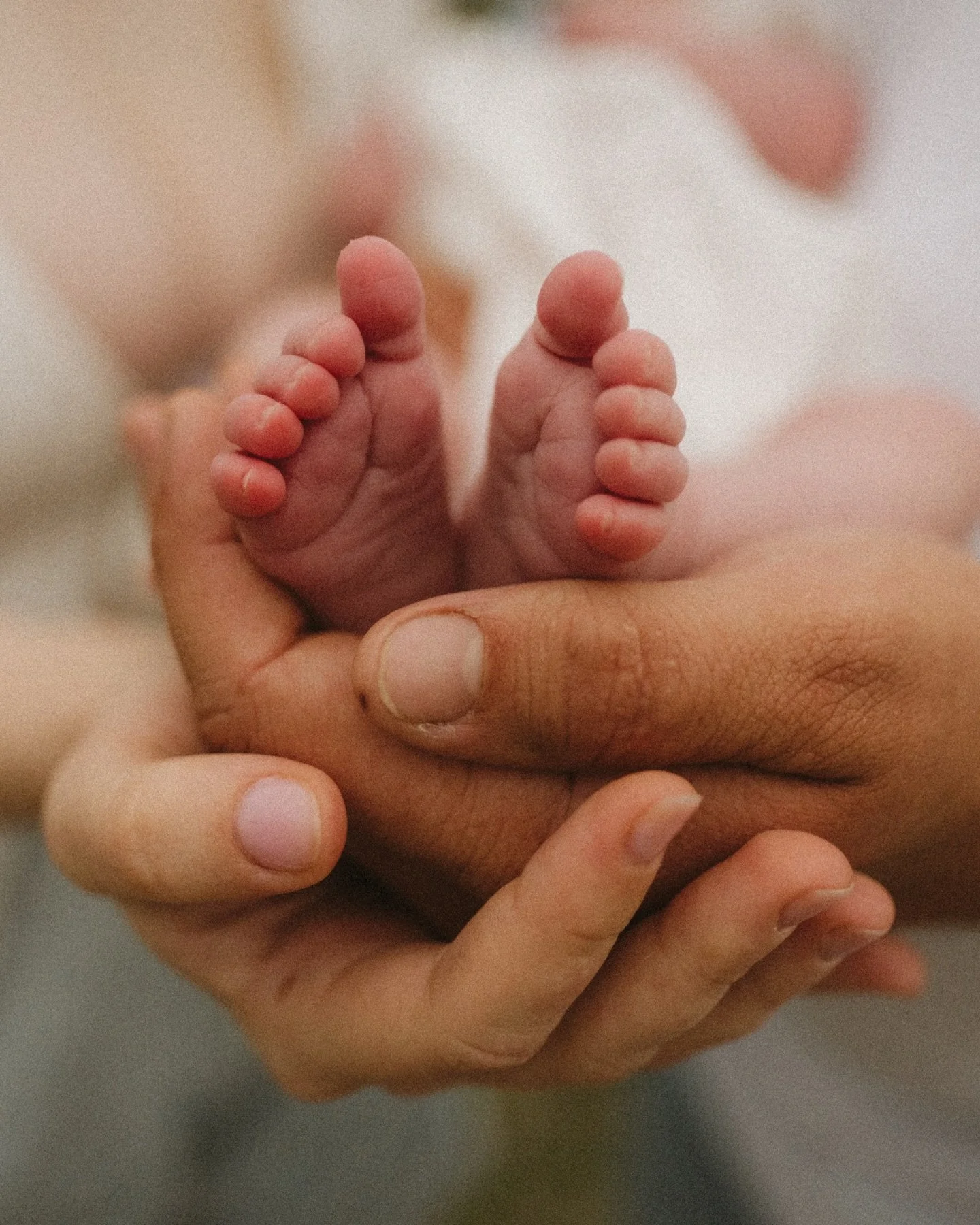 The sweetest season, capturing the beginning of life as a family of four. It&rsquo;s definitely a moment in time you will want to hold onto forever but it&rsquo;s just the beginning of such a beautiful year ahead watching that sisterhood bond bloom ?