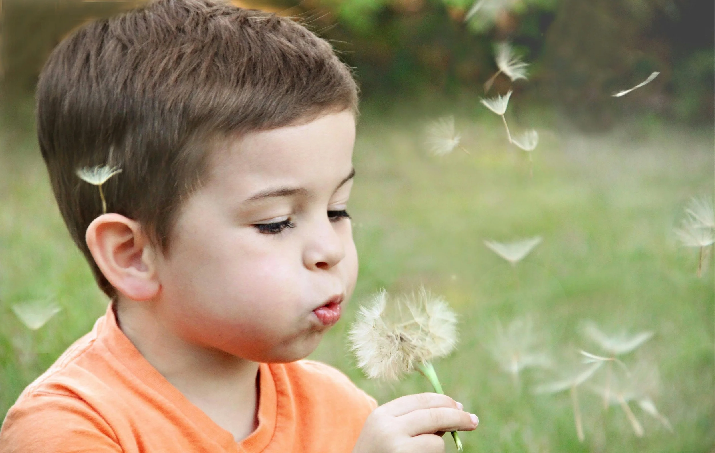 Child holding a flower, symbolizing innocence and growth in a nurturing environment.