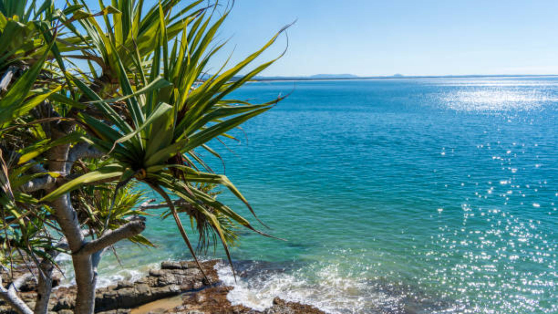 Untitled design - 2026-04-22T173759.174.png