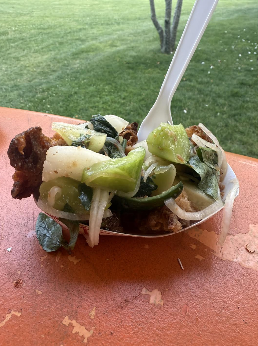 A serving of fried chicken with steamed green vegetables and onions in a bowl with a white plastic fork, placed on an orange surface outdoors with green grass and trees in the background.