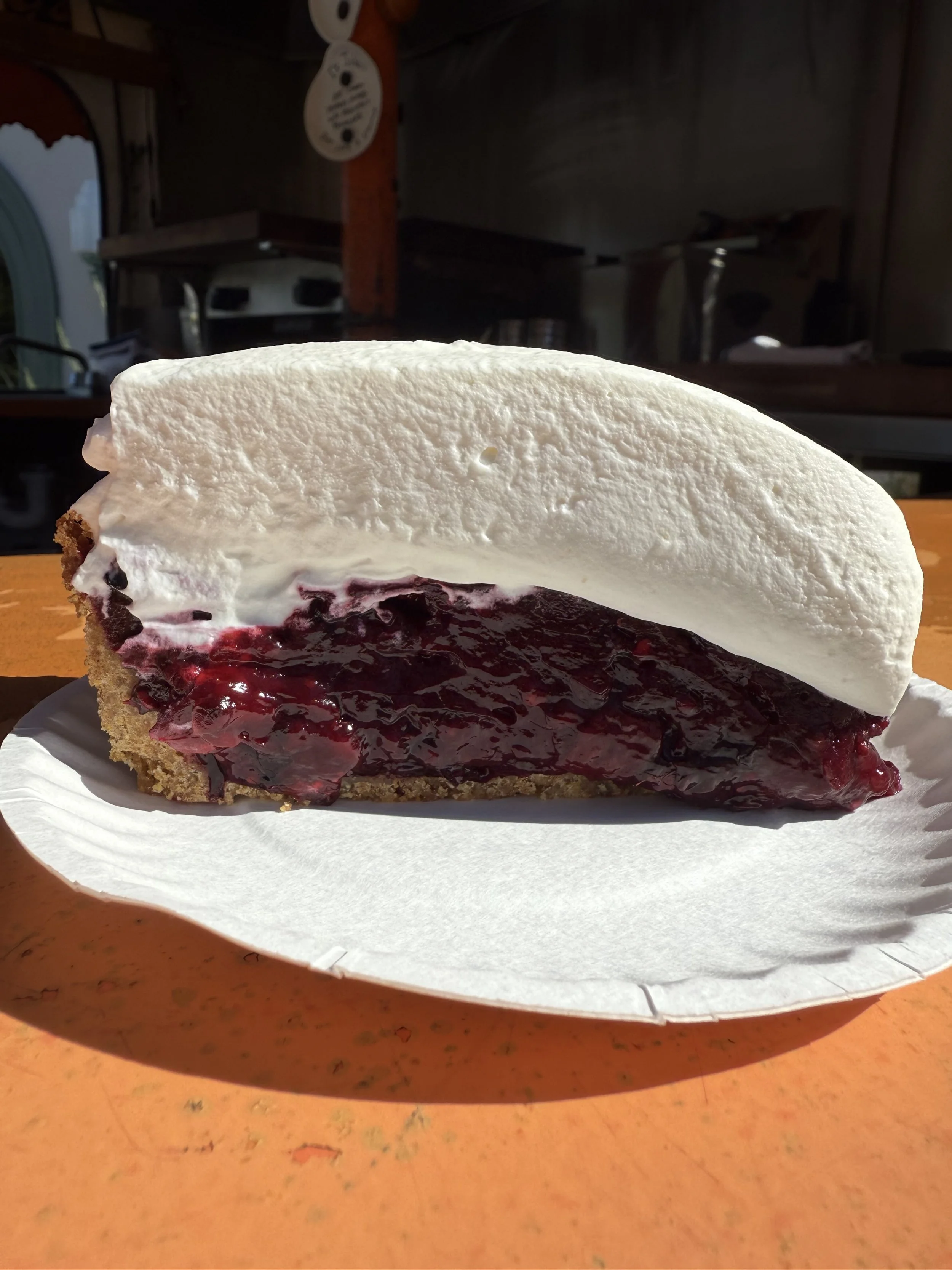 A slice of blueberry pie with a graham cracker crust, topped with a layer of whipped cream, on a white paper plate.