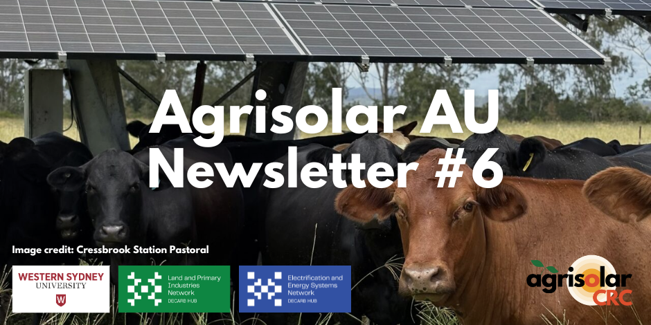 Agrisolar News #6 — Agrisolar CRC