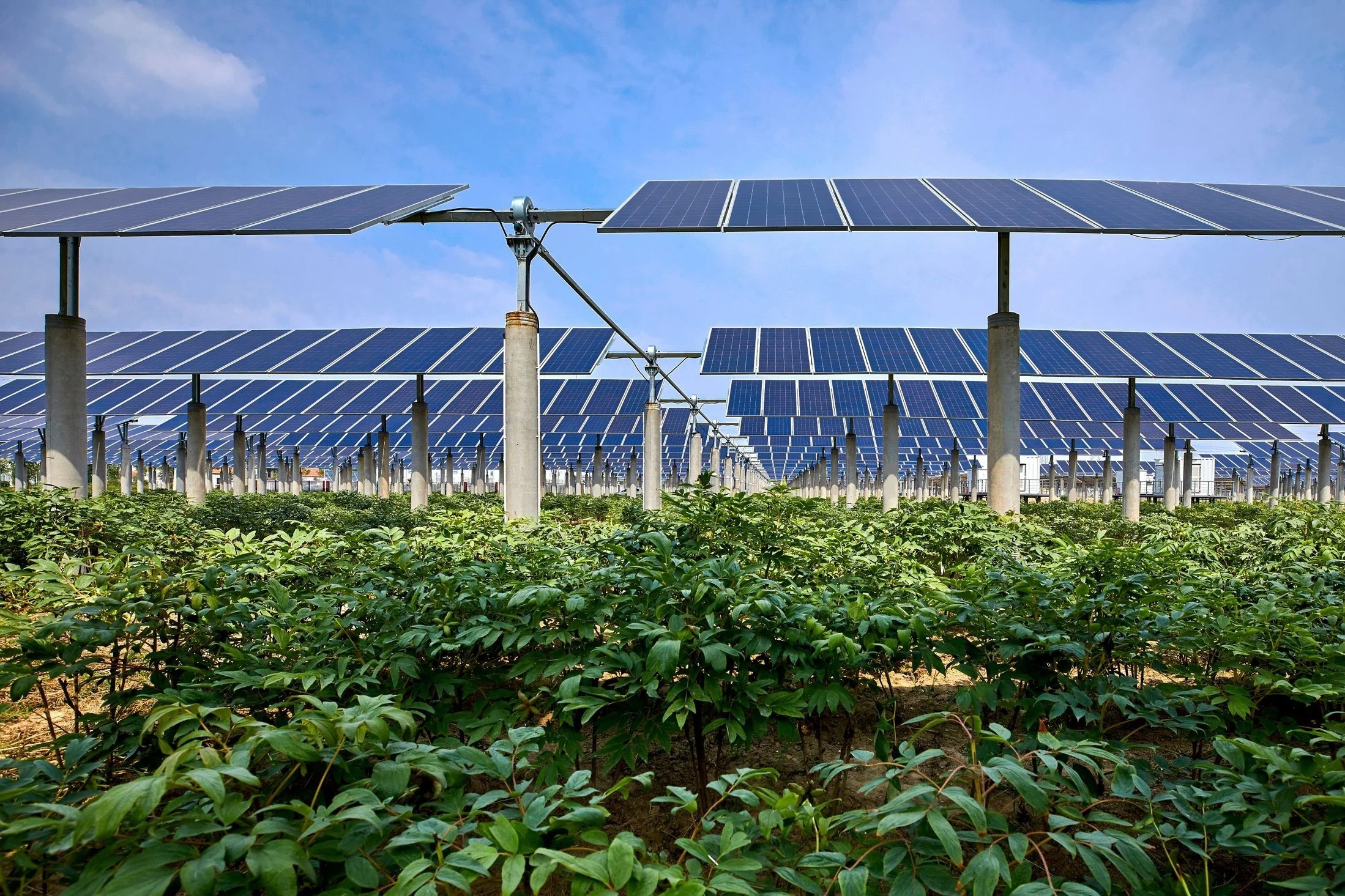 Agrisolar CRC — Agrisolar CRC