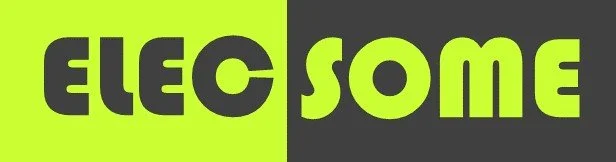 Elecsome Logo 2.jpg