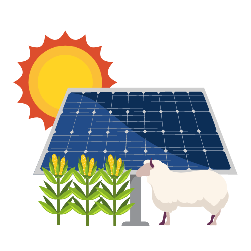 Agrisolar CRC