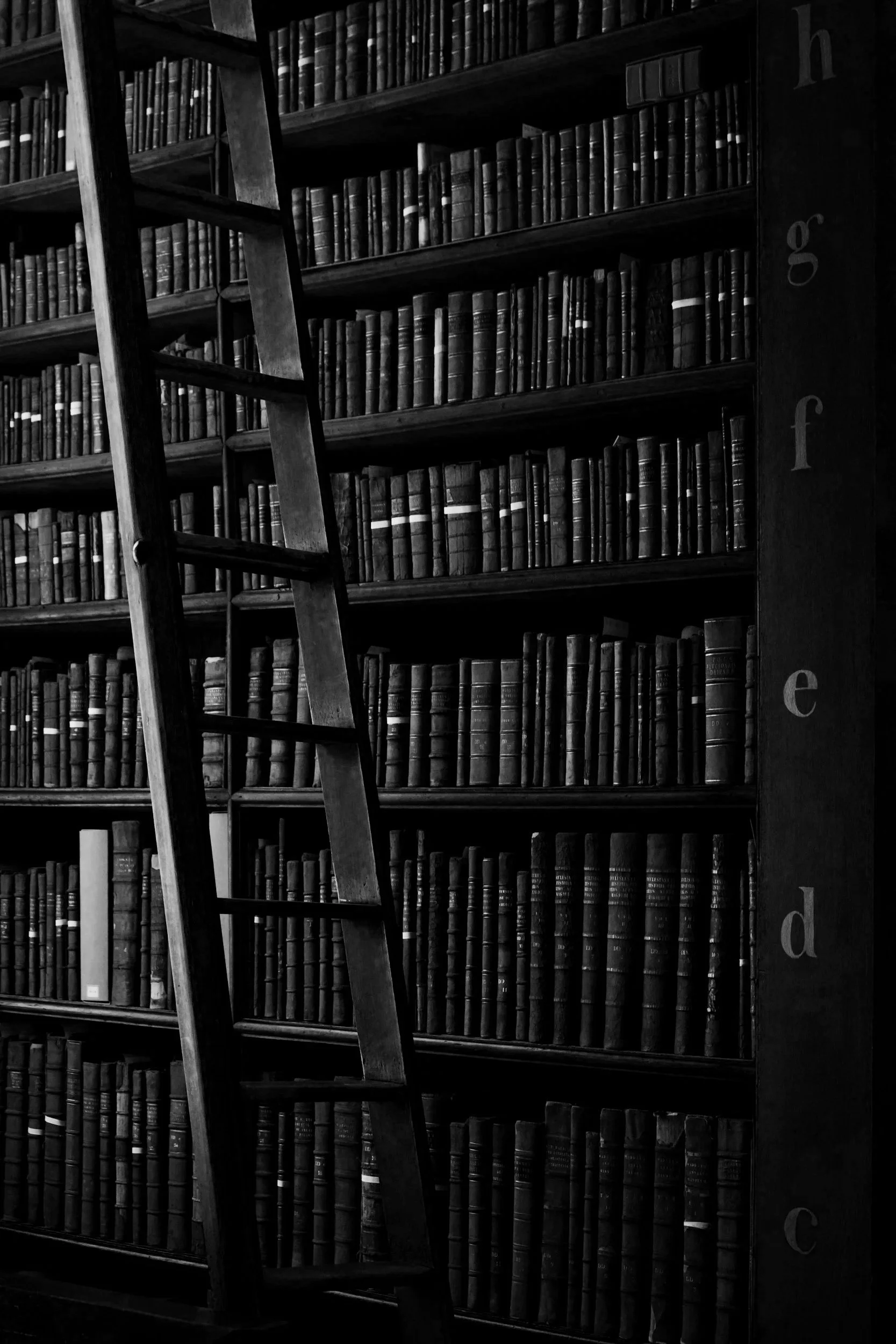 Black and white photograph of a wooden ladder leaning against tall bookshelves filled with numerous old books. The shelves are labeled with letters, and the scene appears to be in a library or archive.