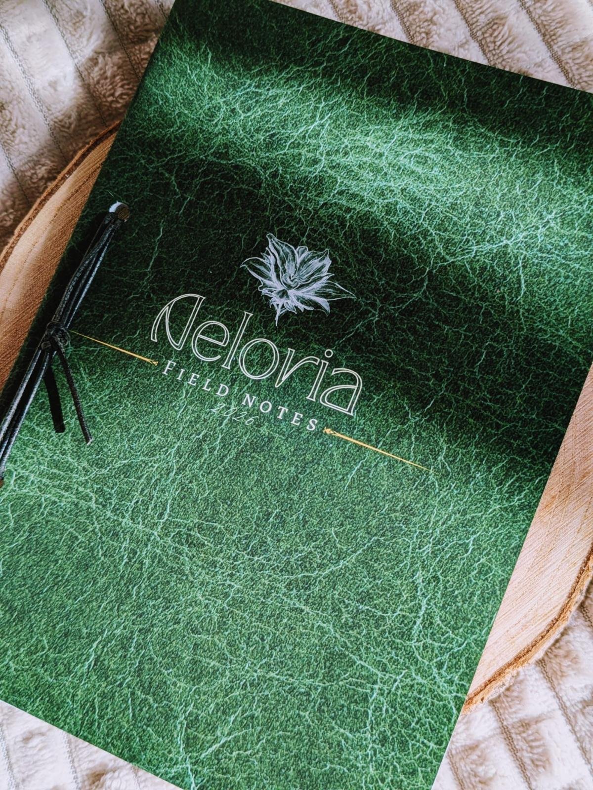 WhatsApp Image 2026-04-01 at 10.12.12 (2).jpeg