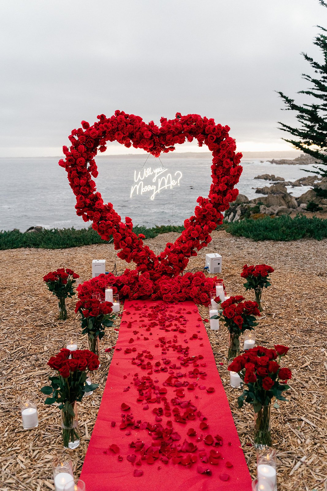 A heart-shaped floral arch made of red roses with a neon sign reading "Will you marry me?" hanging inside it, set up on a red carpet decorated with rose petals, surrounded by smaller bouquets and candles, with a view of the ocean and rocky shoreline 