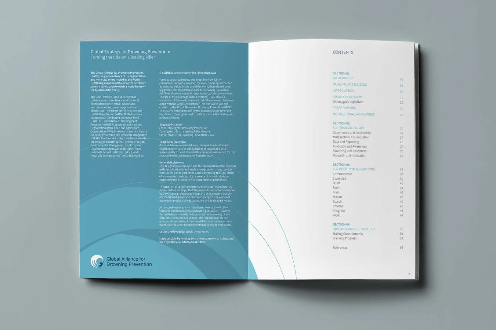 Global_internal copy1.jpg