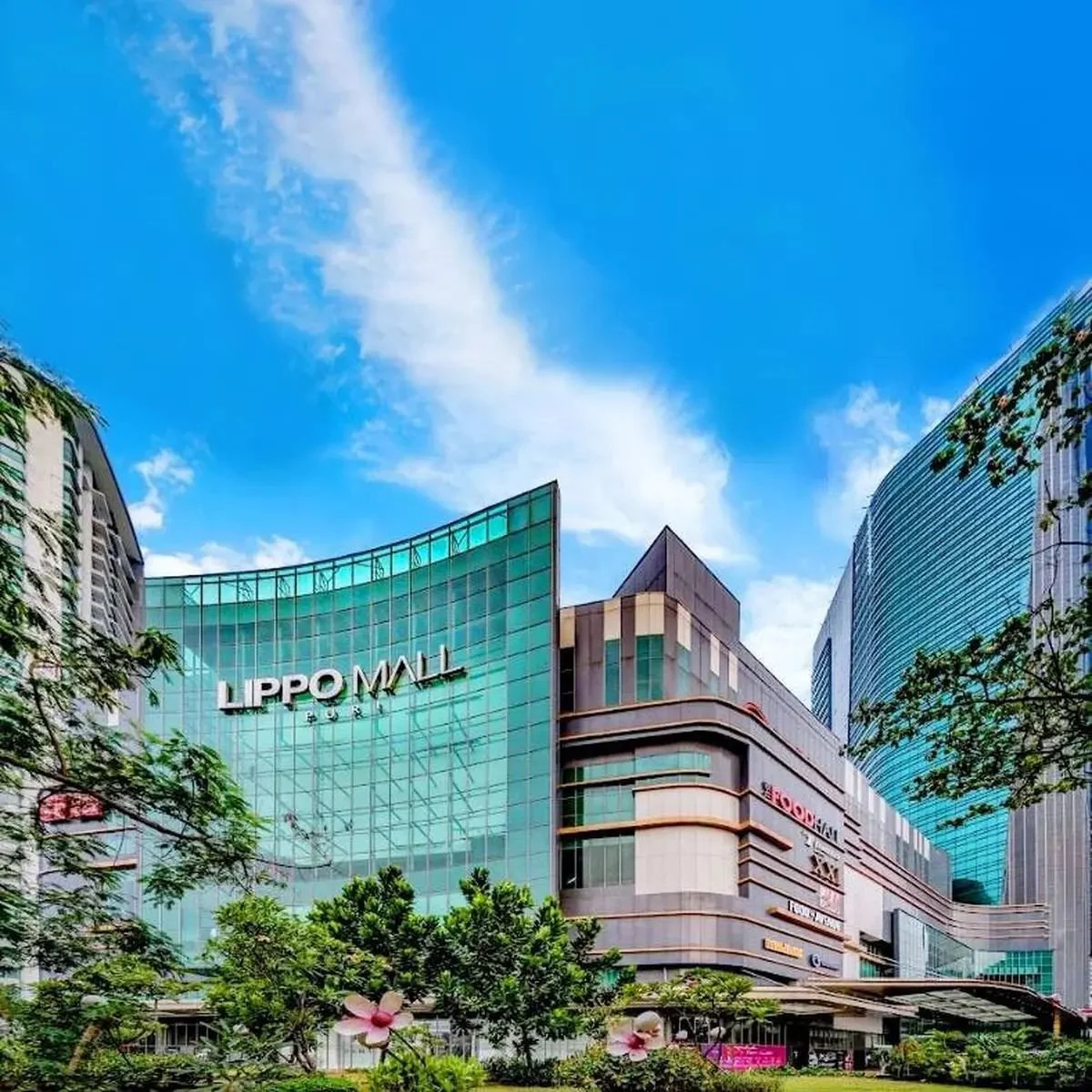 WhatsApp Image 2025-10-30 at 09.20.17.jpeg