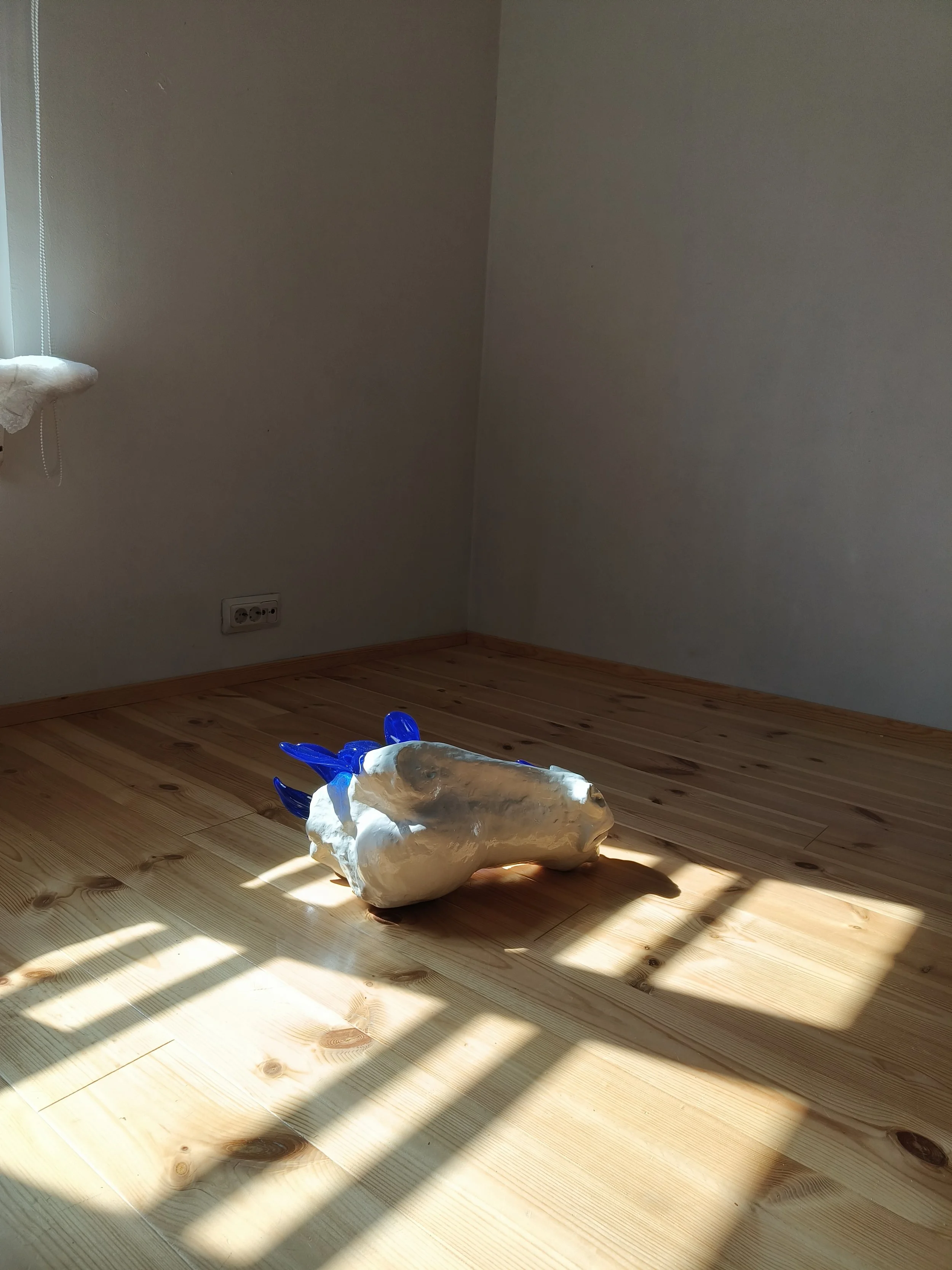 image00012.jpeg