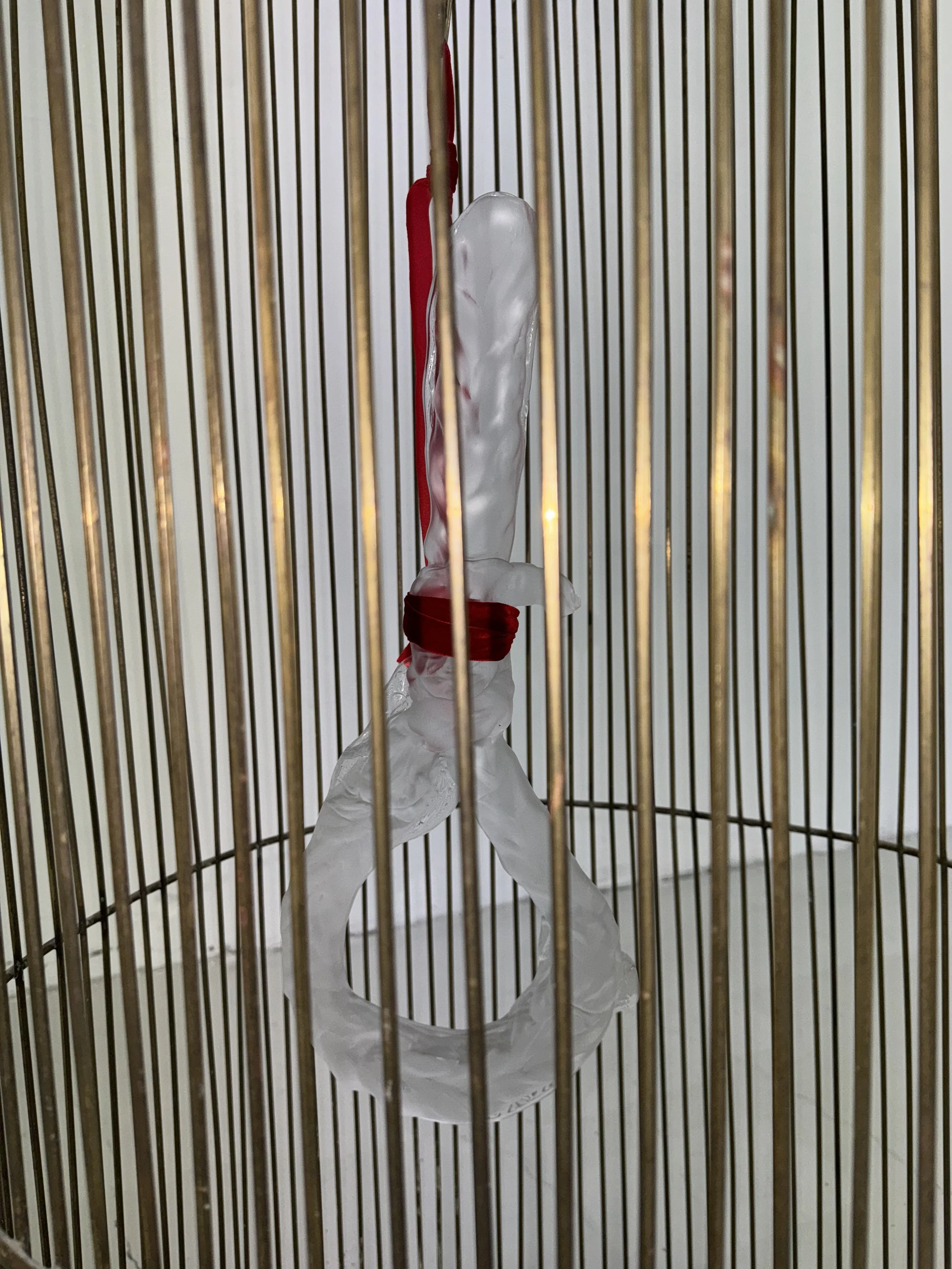 image00012.jpeg
