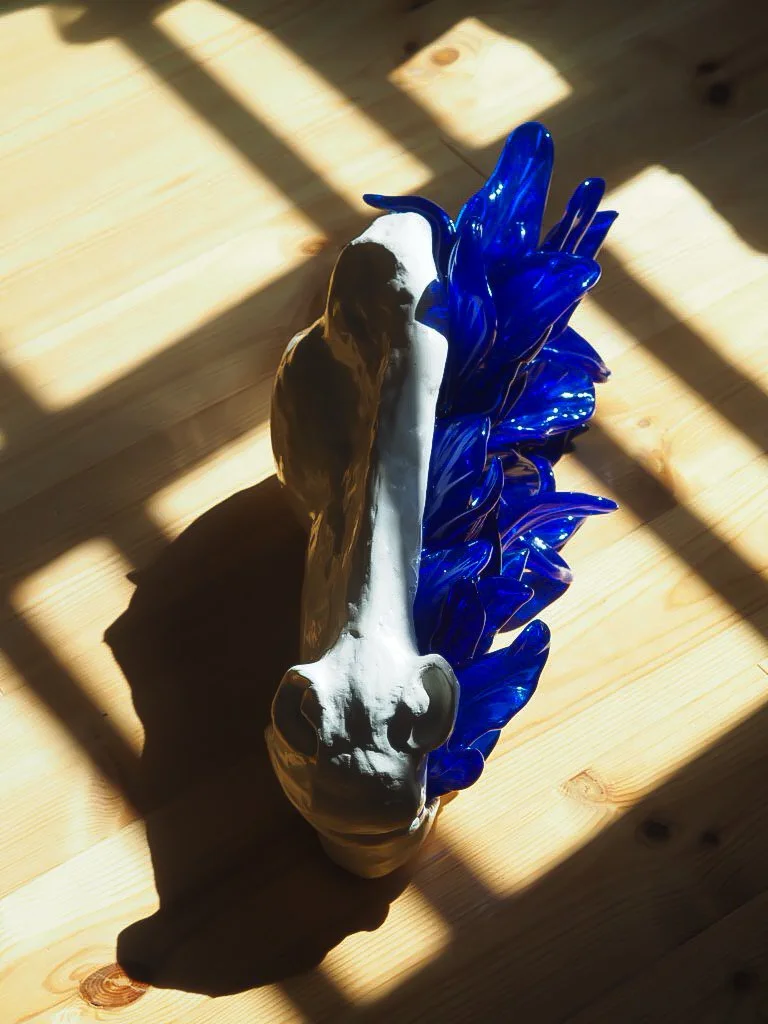 image00005.jpeg