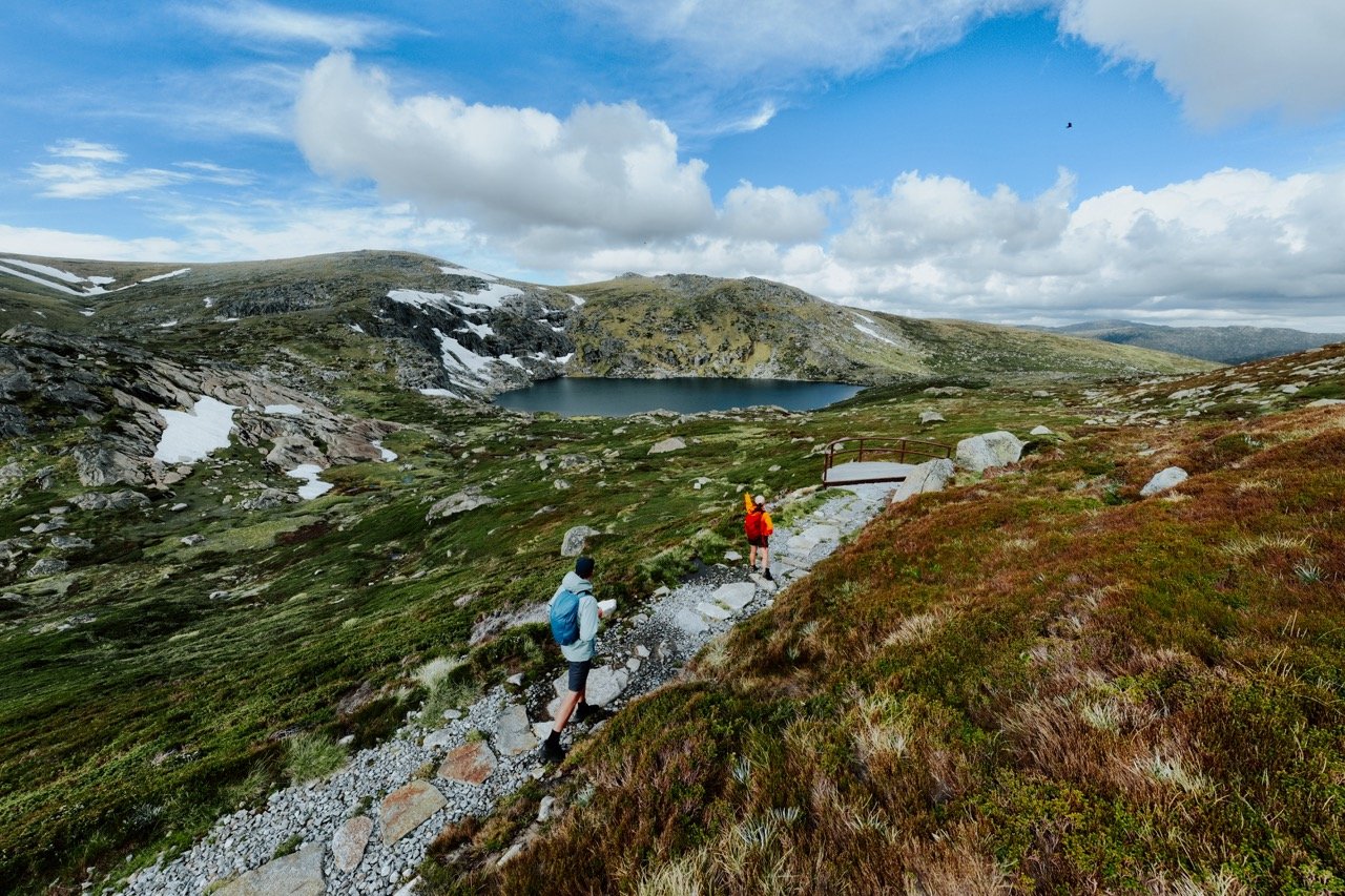 DPE_2023_NPWSVERB0121_SnowiesAlpineWalk_BlueLake_DanielParsons_372 Large.jpeg