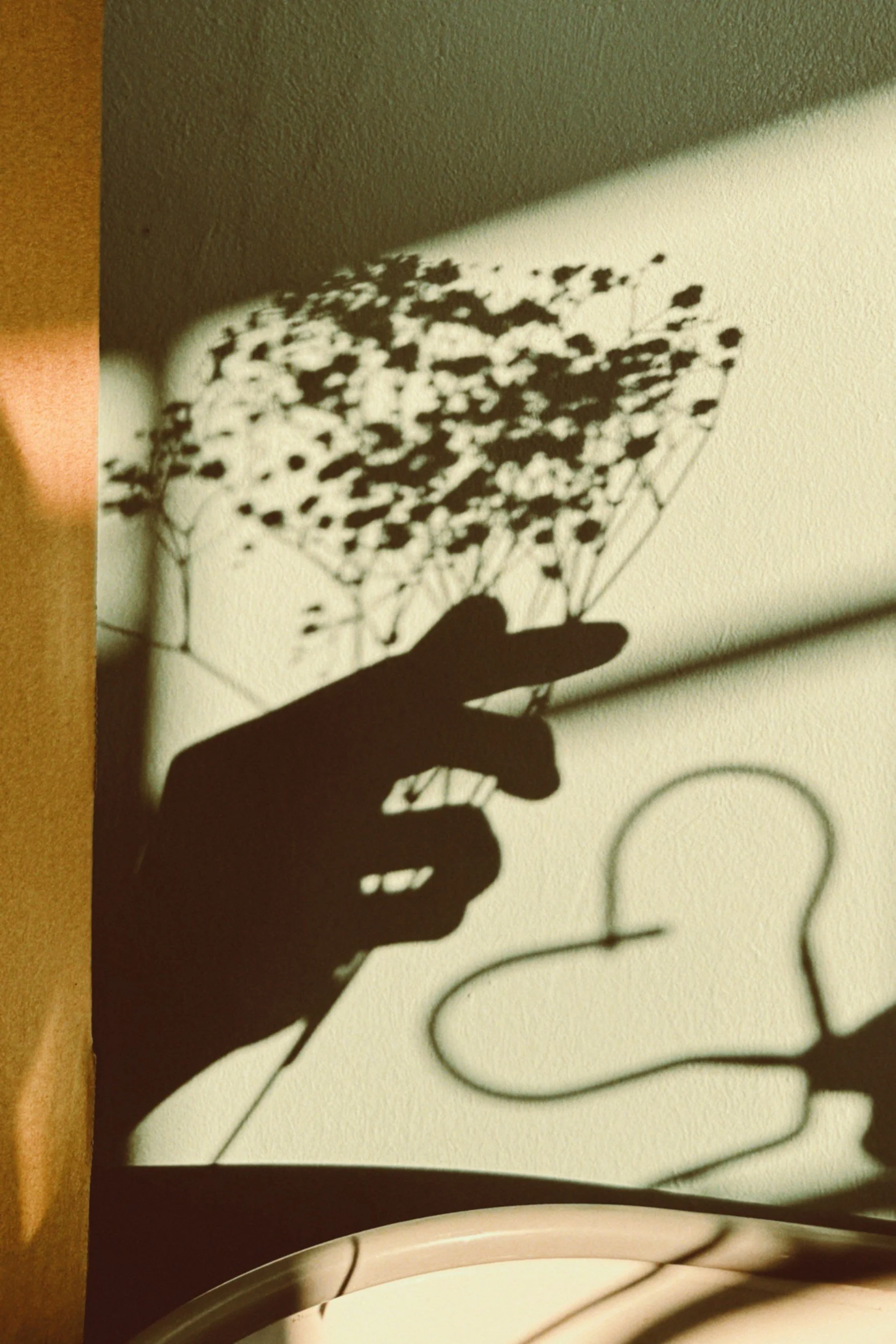 Shadow of a person holding a bouquet of flowers, cast on a wall with a faint ring shadow nearby.