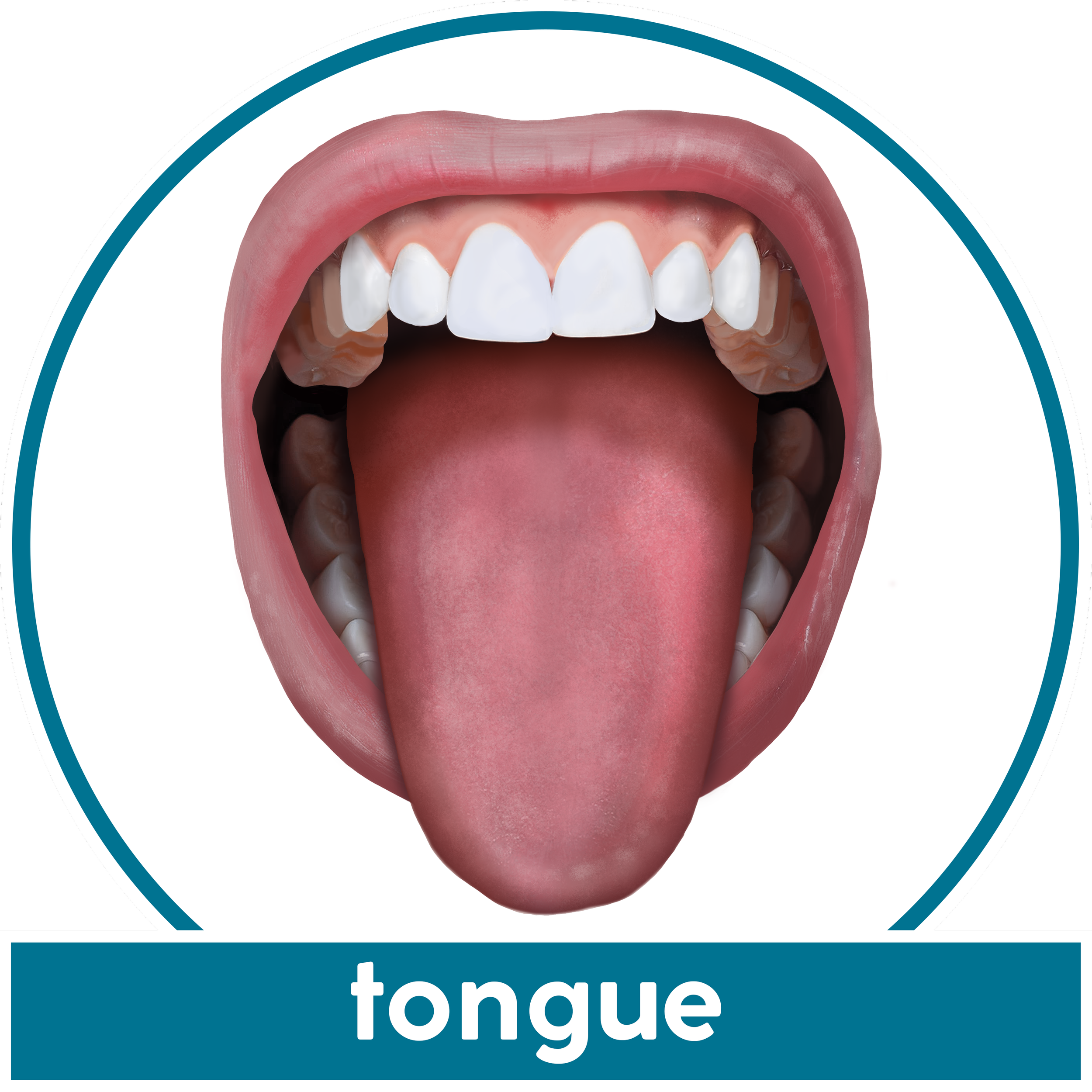tongue.png