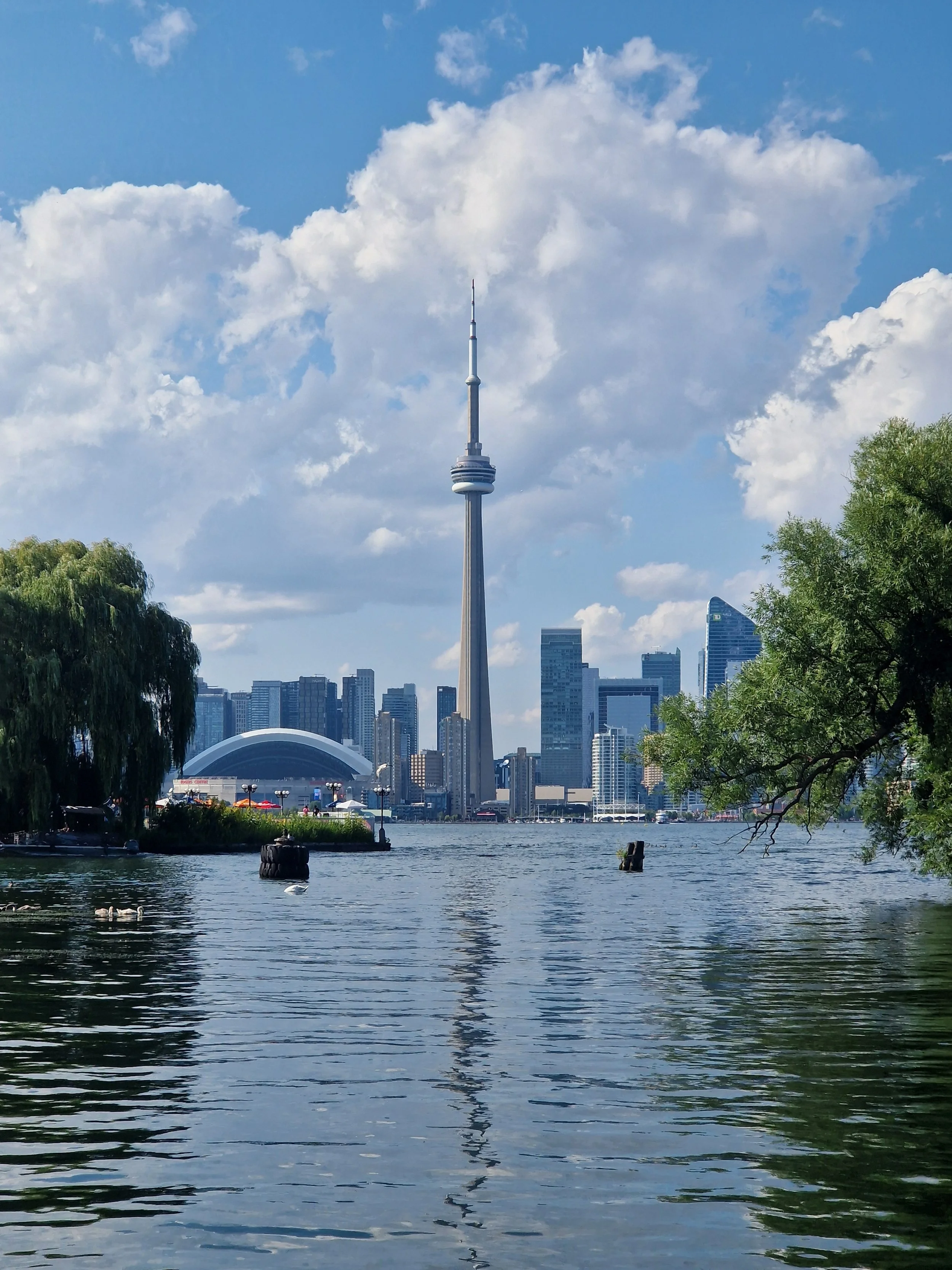 the 6ix