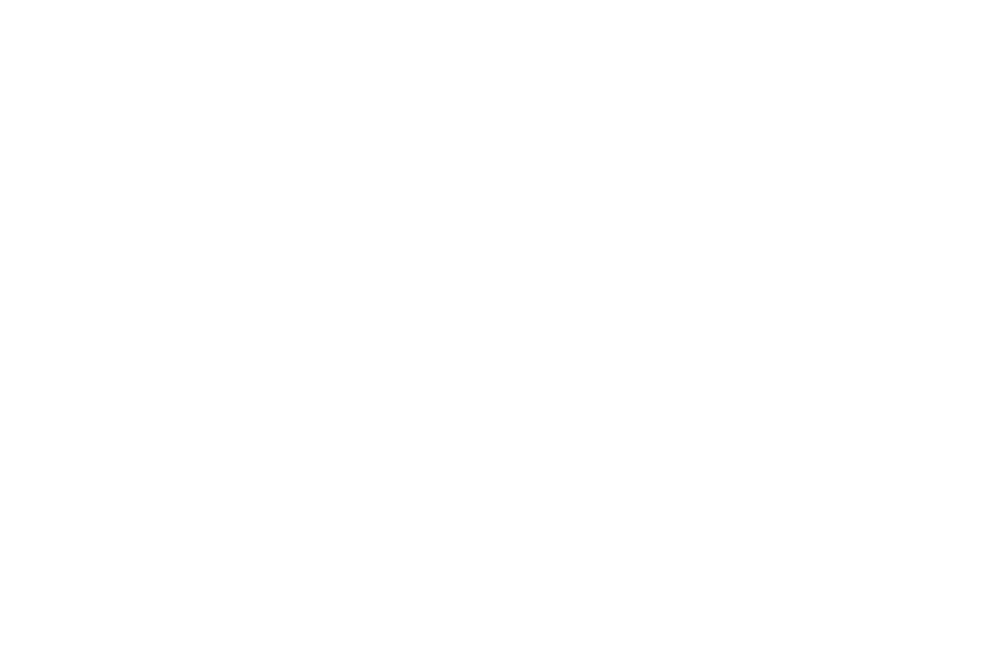 AppLayer.png