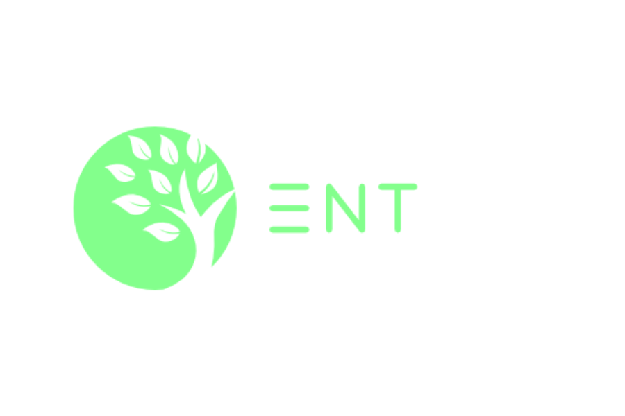 Entity.png