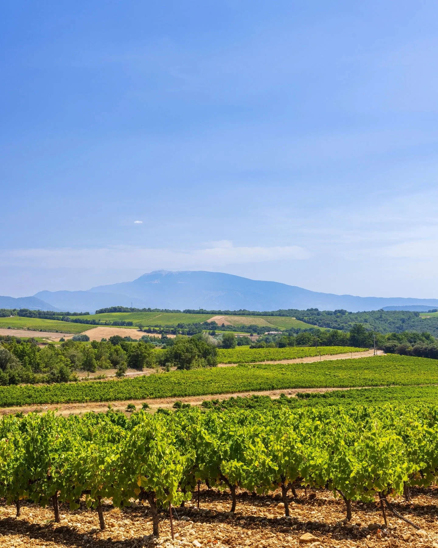 Dreaming of coming home to a view like this&hellip; one day?

If moving to France is on your &ldquo;one day&rdquo; list, this weekend could be your first real step. Bring that &ldquo;one day&rdquo; a little closer at the French Property Exhibition in