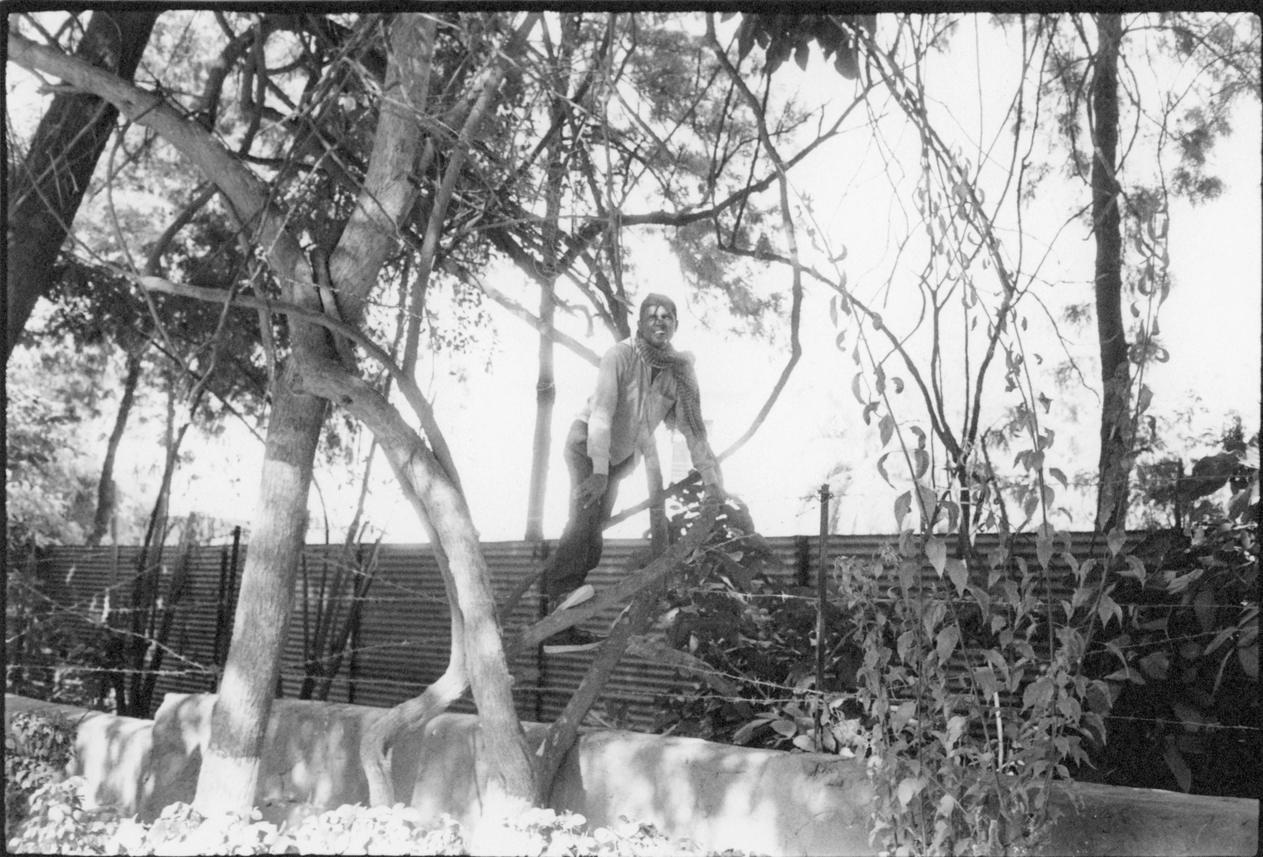 b&w004.jpg