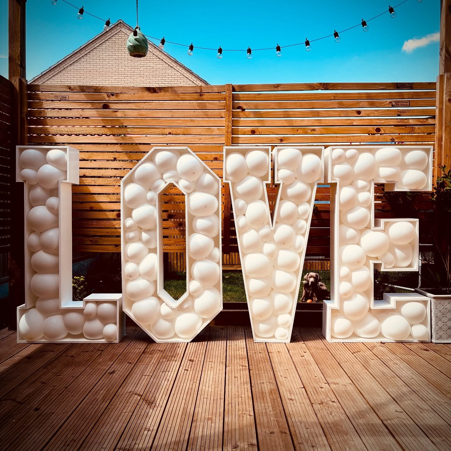 Express the LOVE at your wedding with these 4 foot white letters! Fill them with balloons in your colour choice and create the perfect centrepiece! 😍😍 

If you are interested in this set up or any other you see on my website www.wildaboutevents.co.