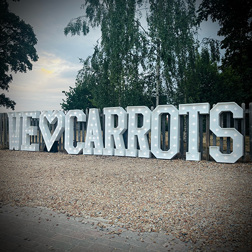 Light up 'WE LOVE CARROTS' for Burgess Farm Summer Party at The Beeches in Isleham. 