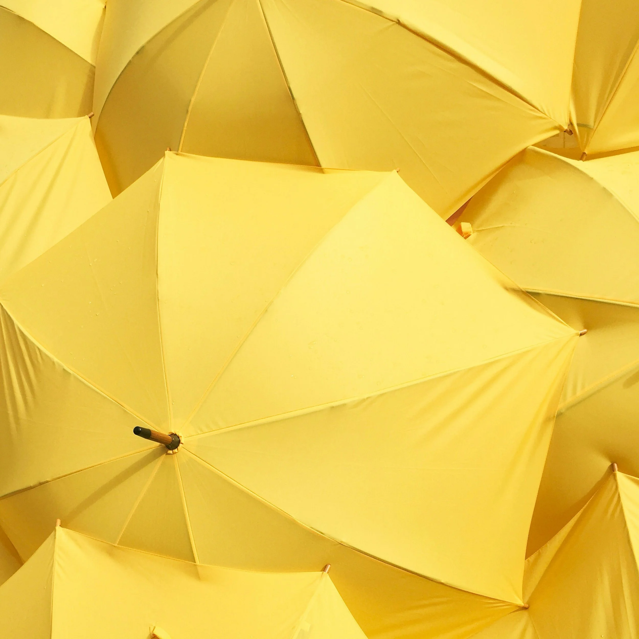 Close-up view of multiple yellow umbrellas overlapping each other.