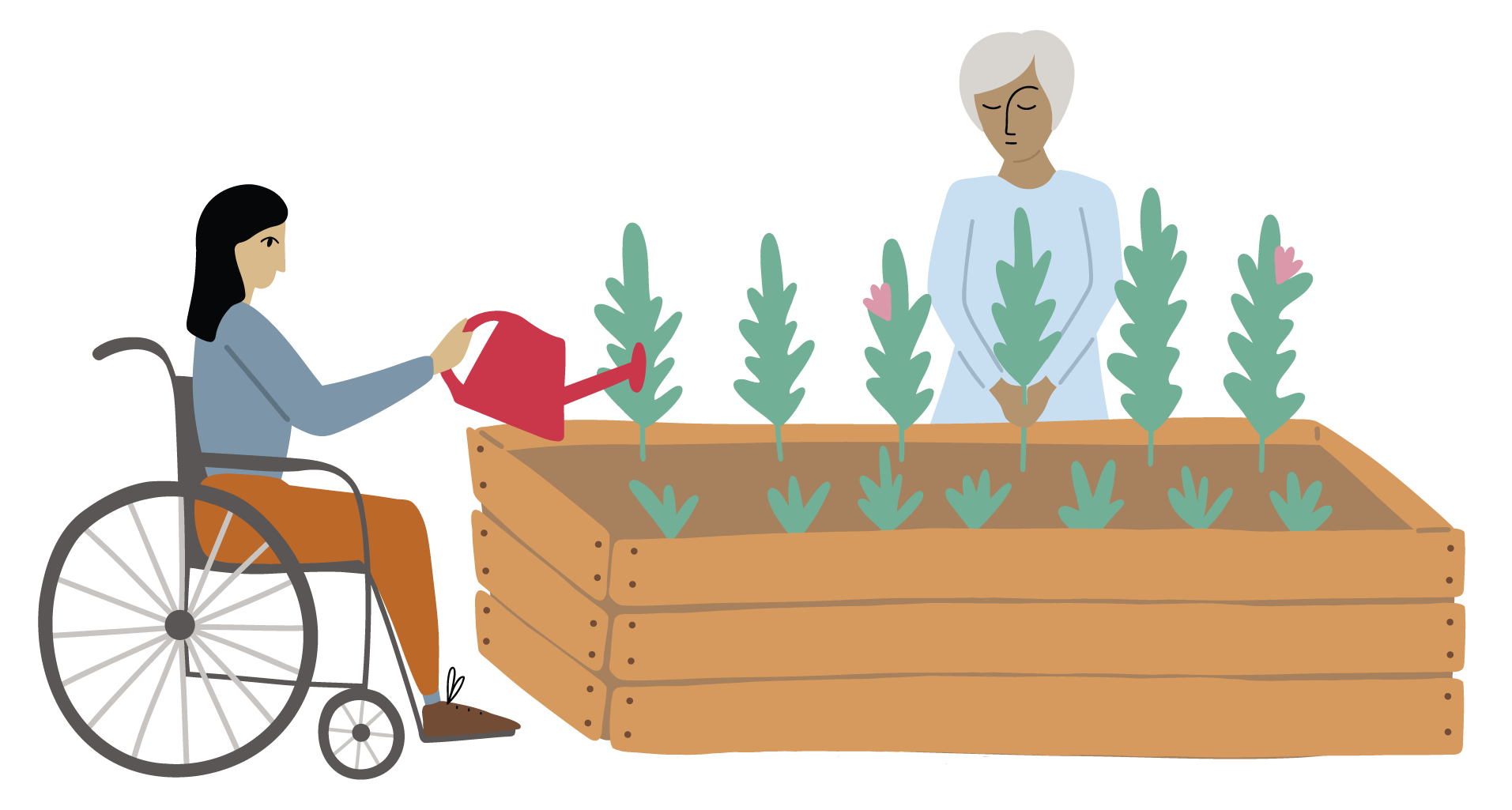 A raised bed being tended by two people. One sits in a wheelchair to the left of the bed, using a red watering can to tend to the green plants growing in the bed. The other stands at the back of the bed in quiet contemplation of the tender scene