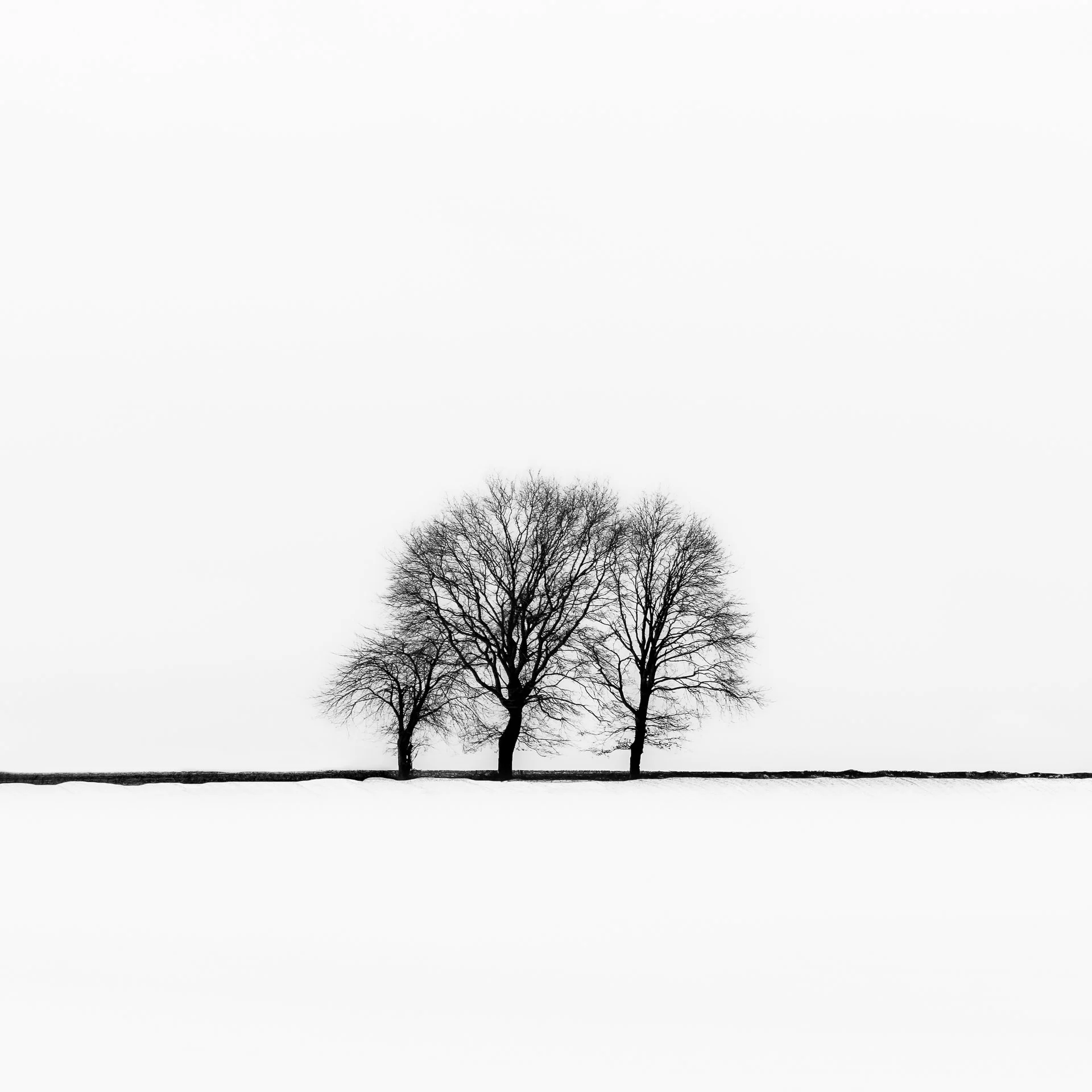 DSCF1262-IridientEdit.jpg