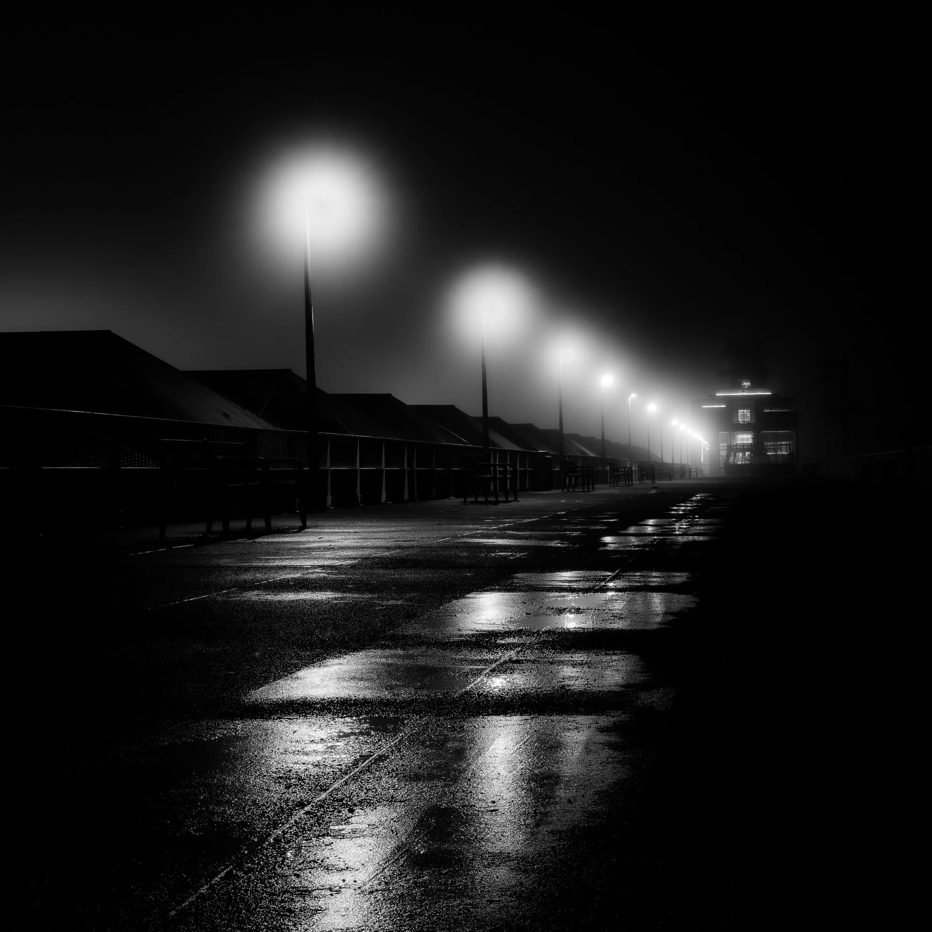 GRAY3994-IridientEdit.jpg