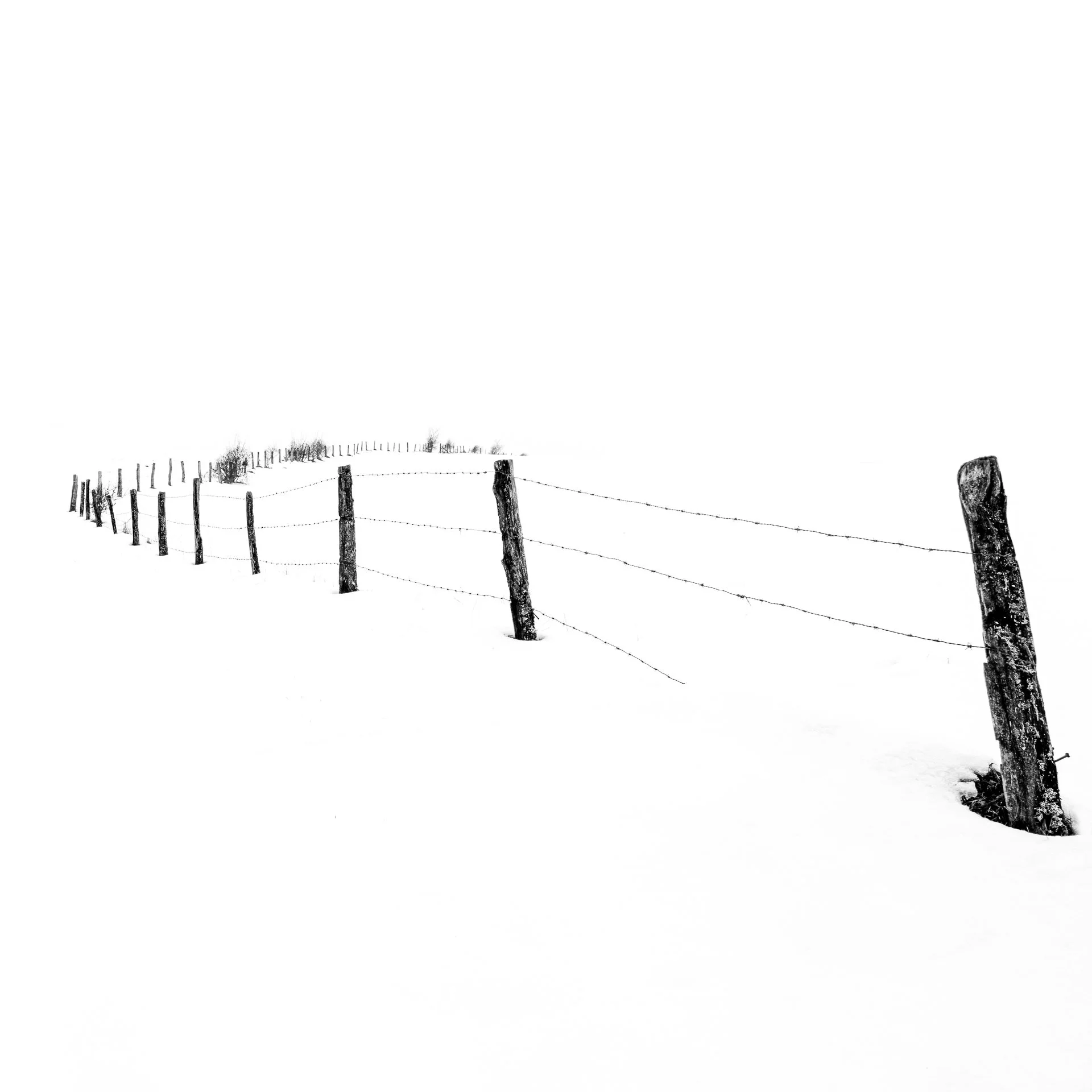 6R9A1244-edit-edit-edit.jpg