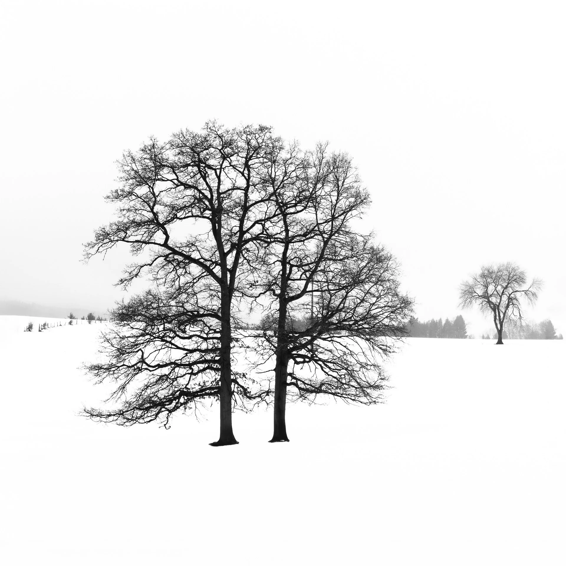 6R9A1271-edit-2.jpg