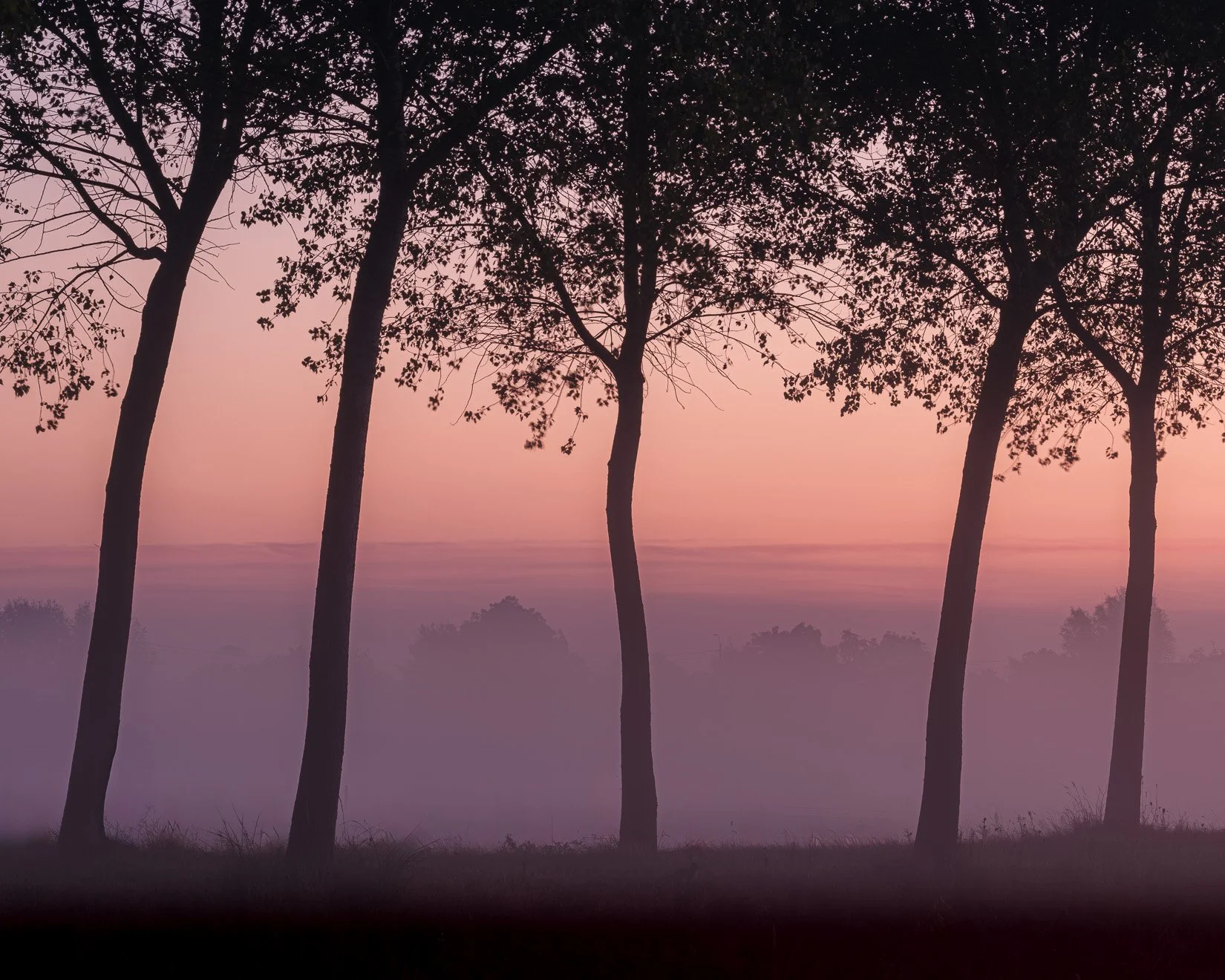 Landscapes
