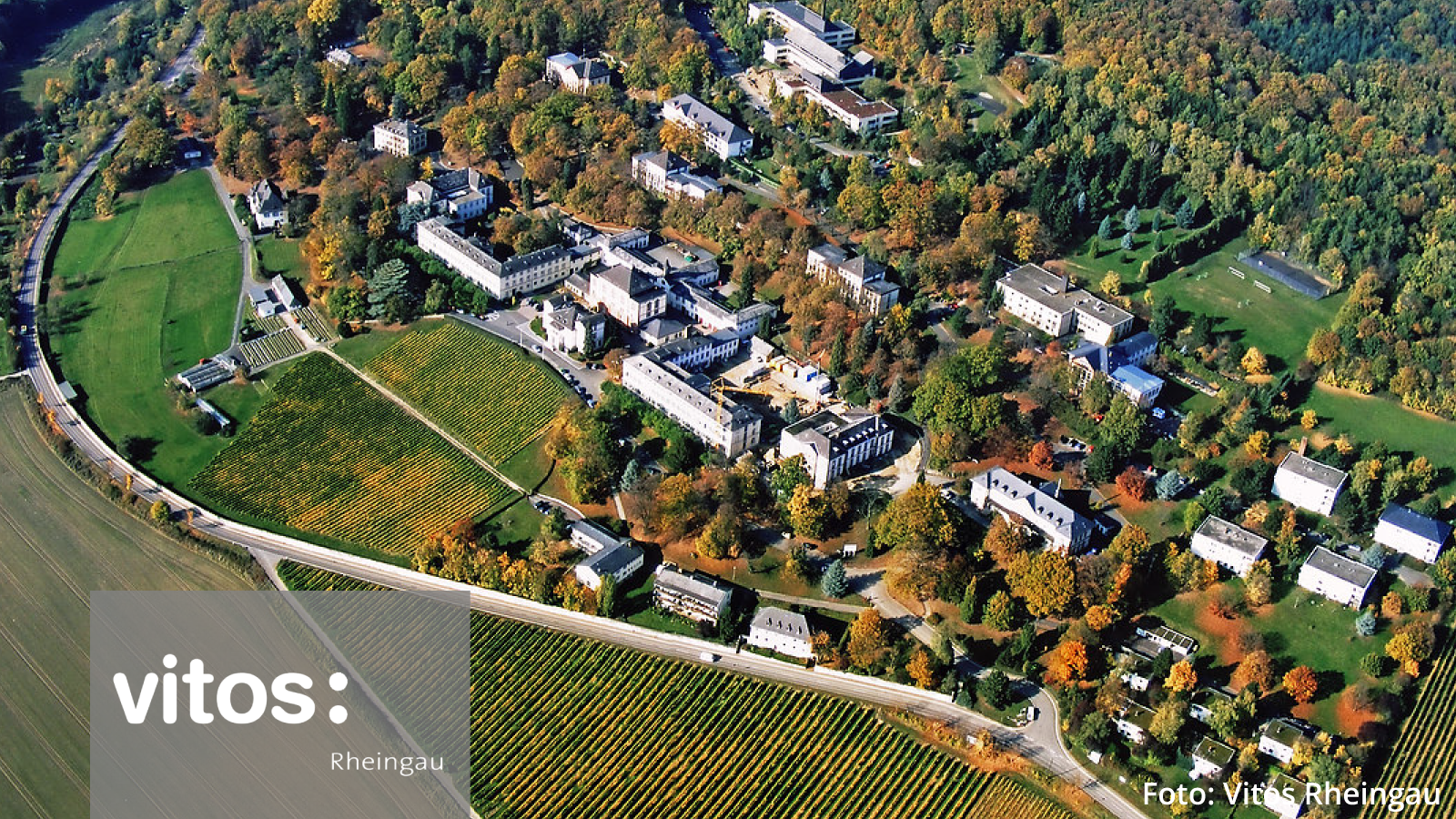 Vitos Rheingau