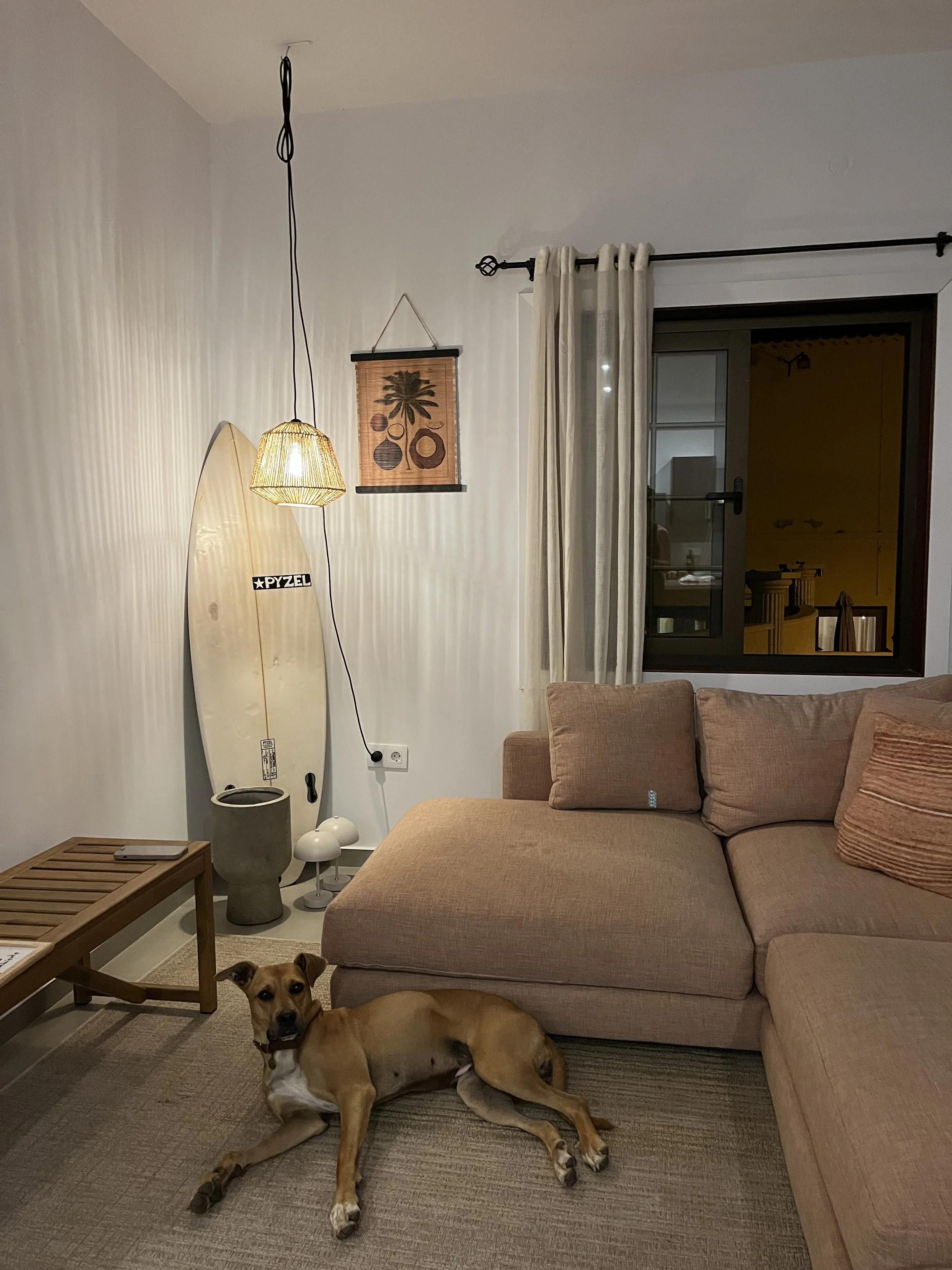A living room with a beige sectional sofa, a window with white curtains, a textured wall, a hanging wall art piece with palm trees and geometric shapes, a surfboard leaning against the wall, a small wooden table, and a dog lying on the carpet in front of the sofa.