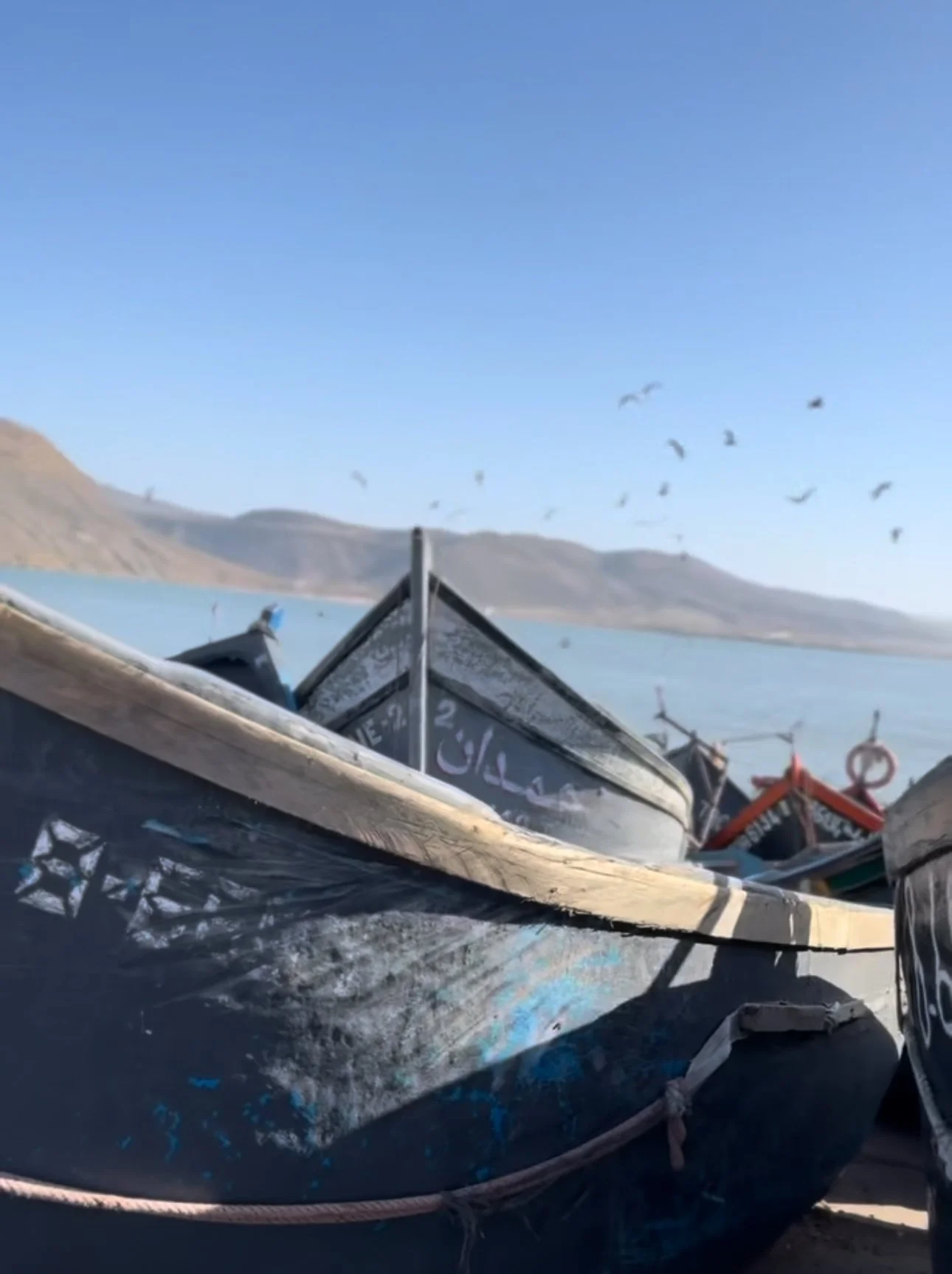 Close-up of multiple small boat hulls on the shore with a lake and mountains in the background and a flock of birds flying in the sky.
