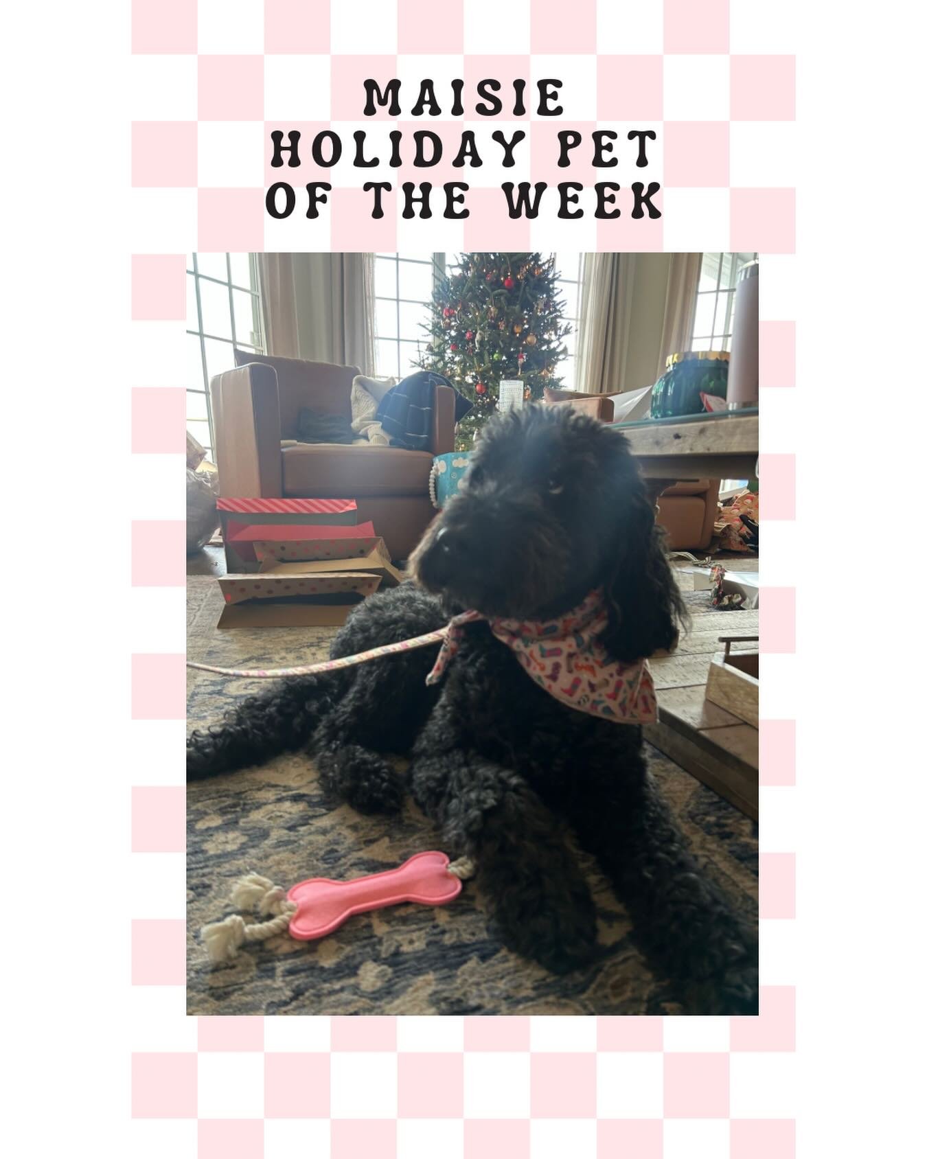 Meet Maisie! Her mom says she loves her Christmas Gifts #brandedbybernee #pet #designstudio11561 #petgifts #westernstyle