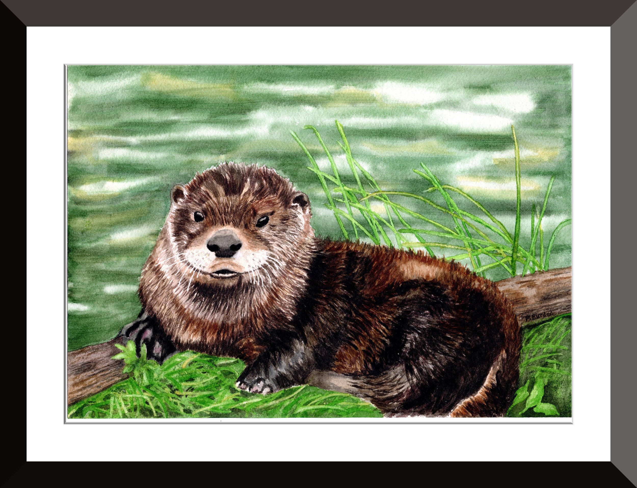 Otterly relaxed