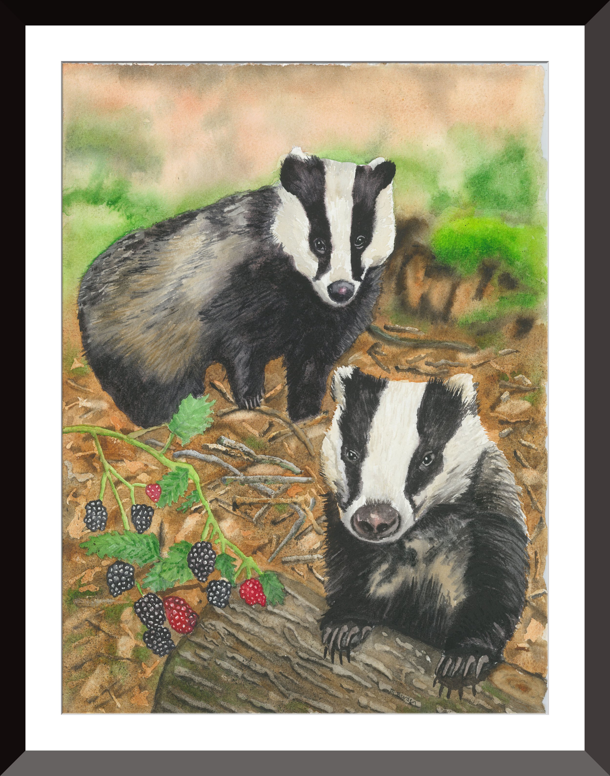Badgers & Berries.