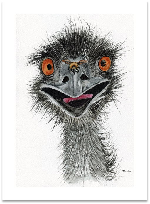 Emu Surprise