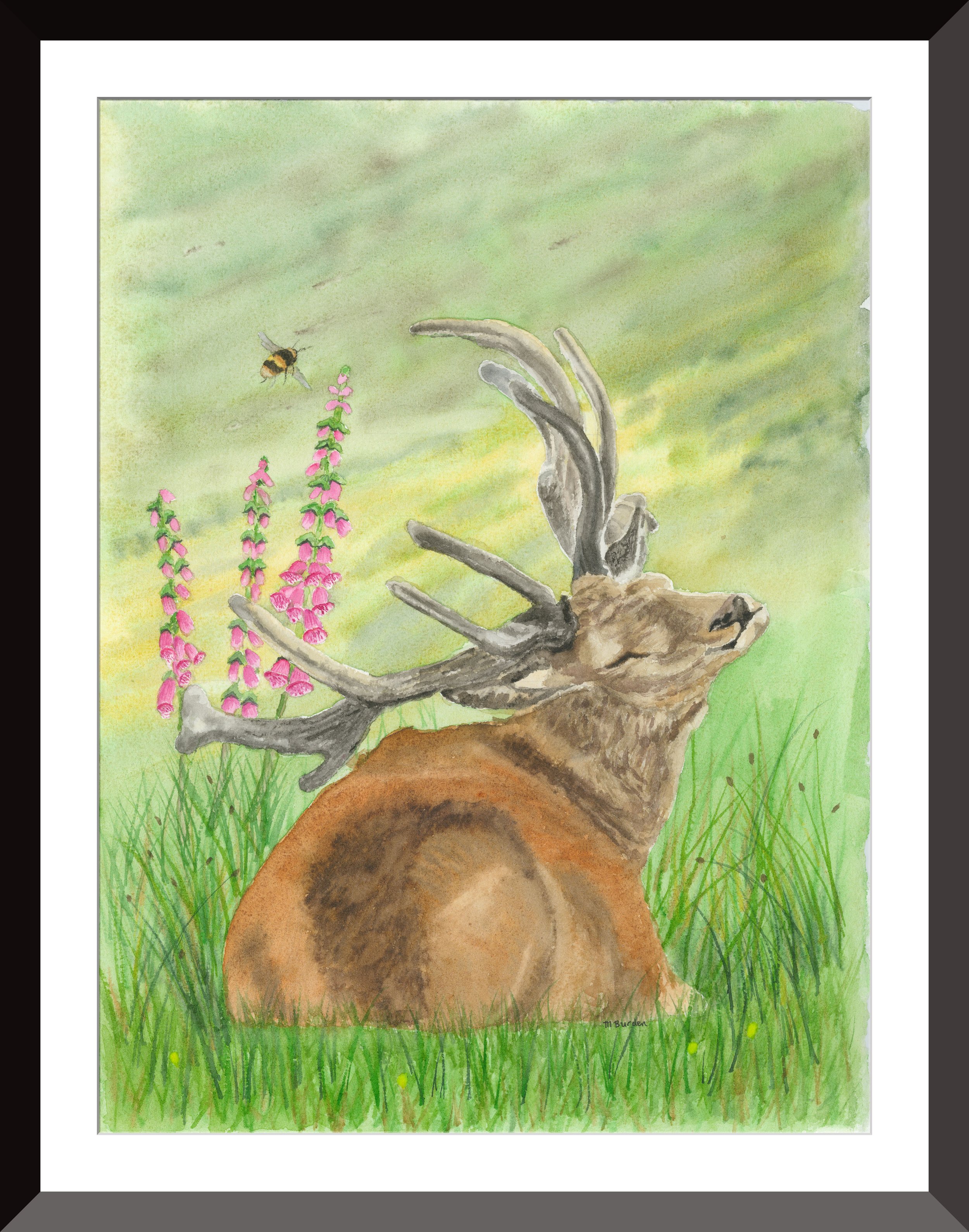 Sleepy Stag