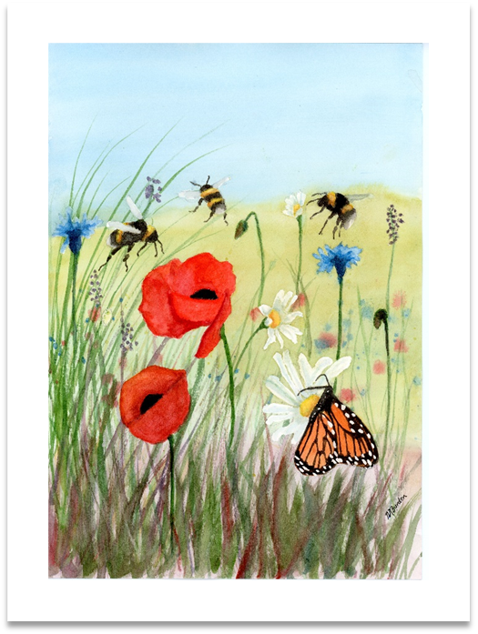Meadow
